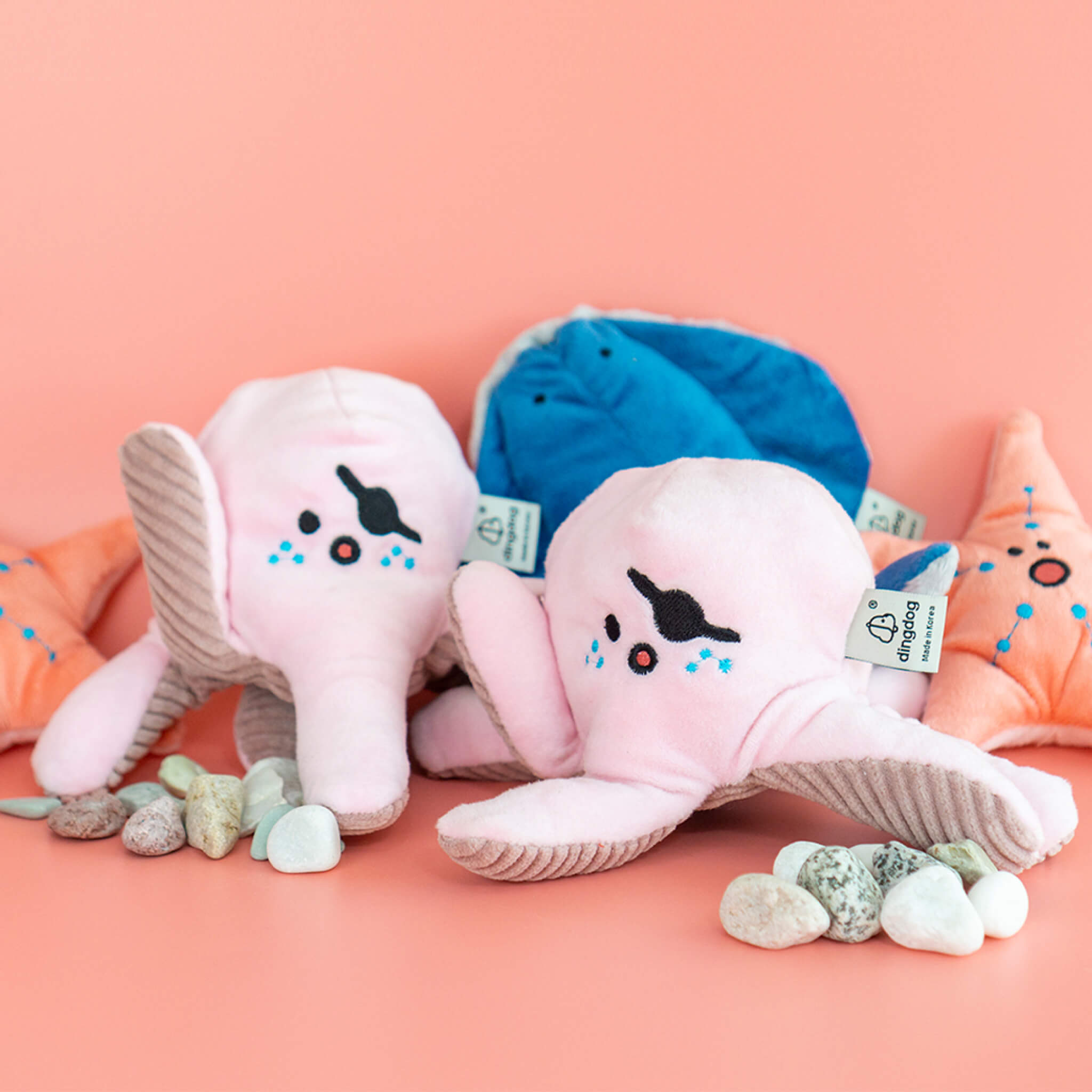 Octopus nosework toy with starfish and stingray nosework toy.