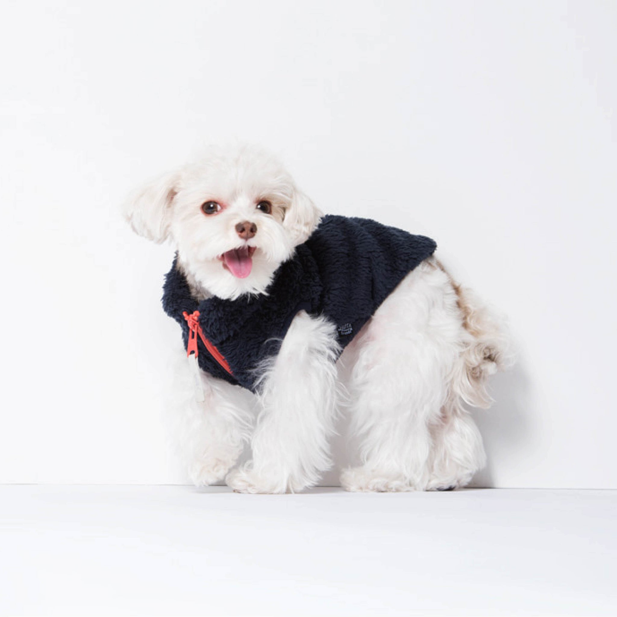 Zip-up vest made of warm material. Models is wearing a SM & weighs 6 pounds (2.8 kg).
