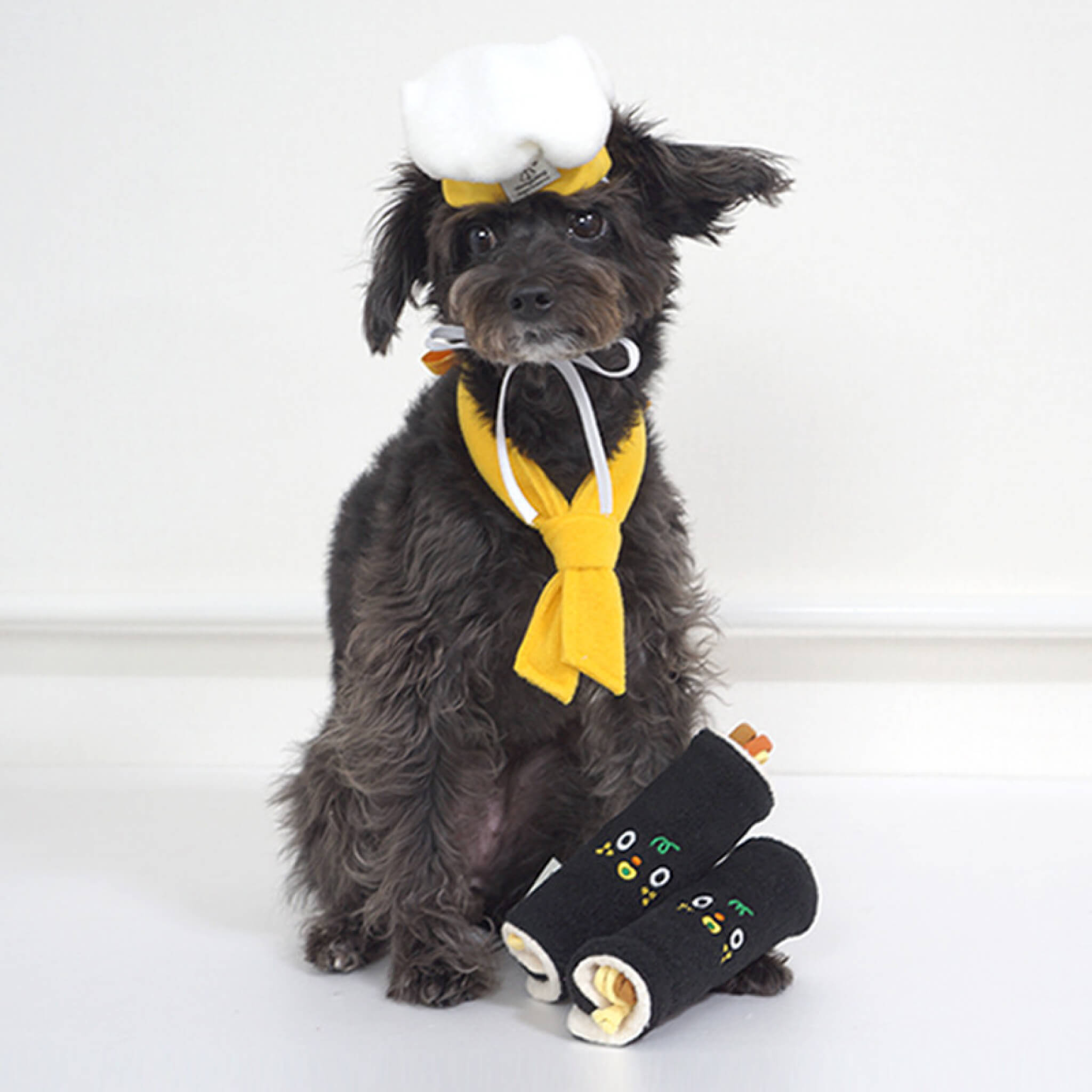 Dog wearing chef scarf & hat set.