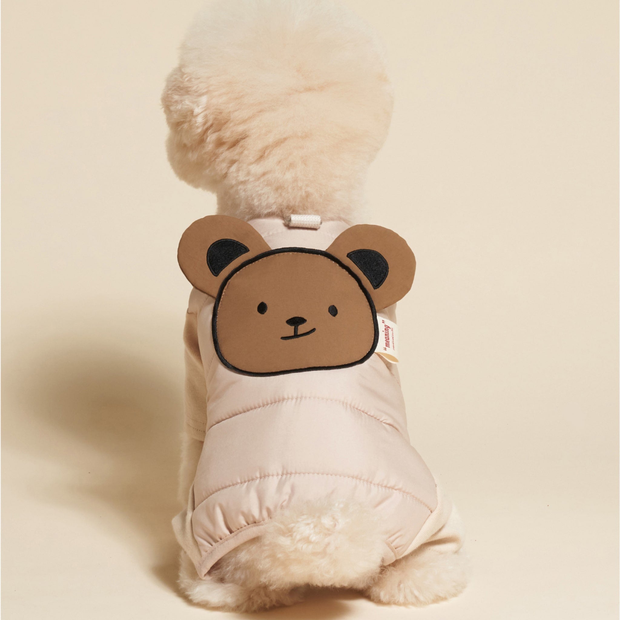 Dog wearing beige padded bear jumpsuit while sitting, showing the back