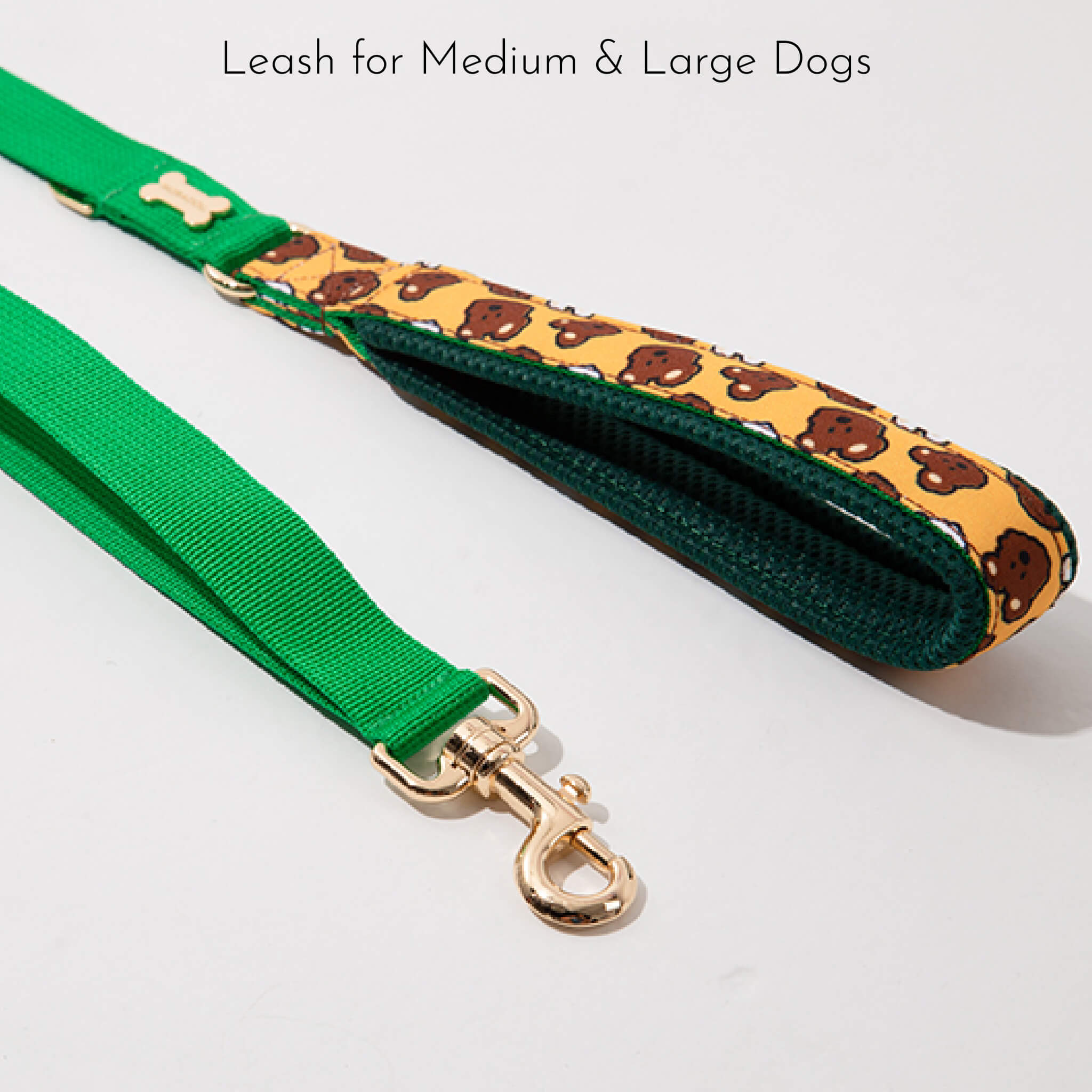 leash for medium & large dogs