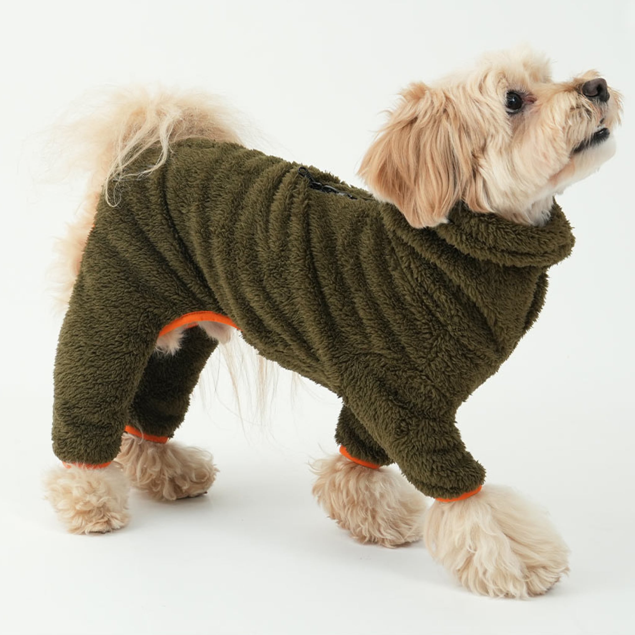 Dog wearing north fleece jumpsuit