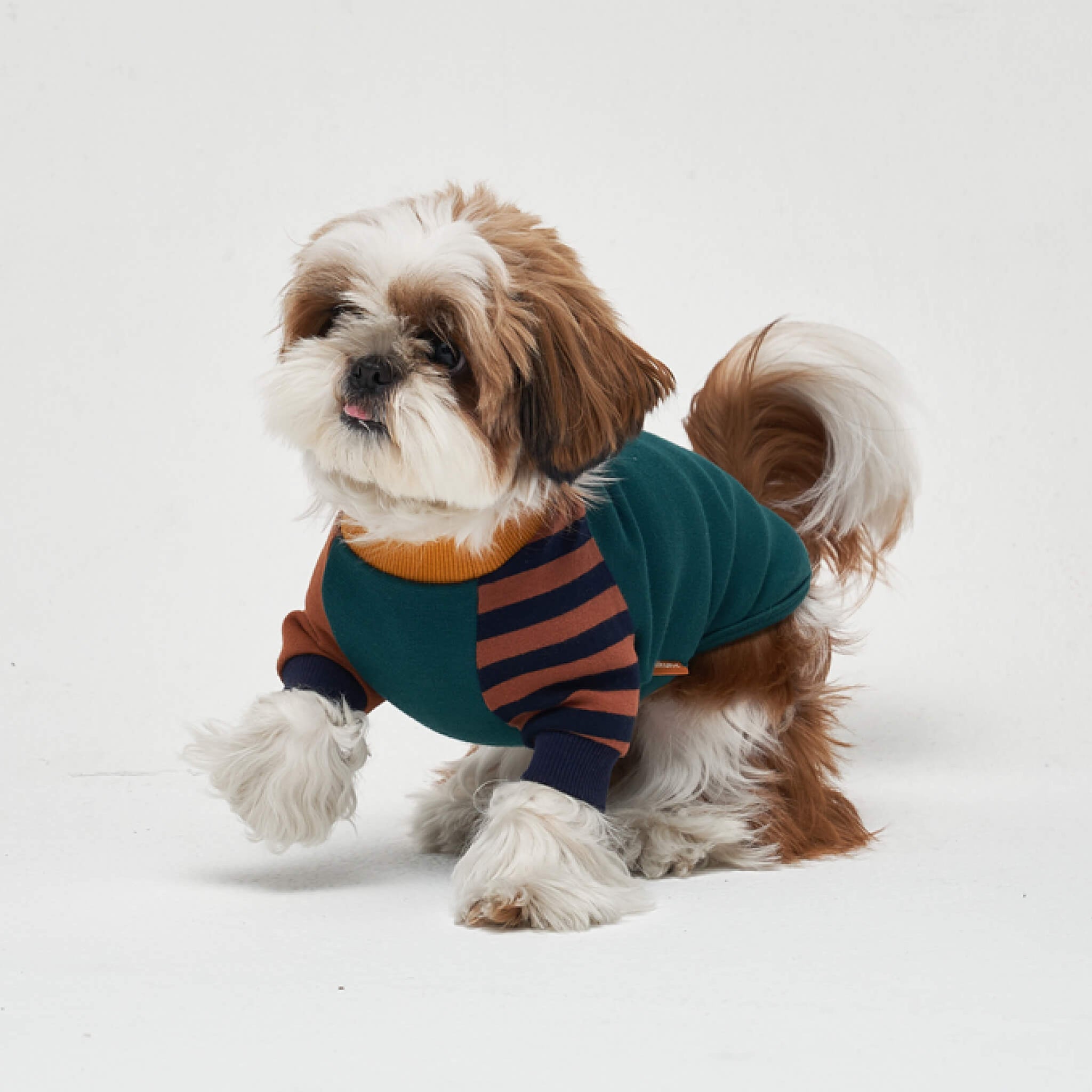 Lake louise pullover in green. Model is wearing a M.