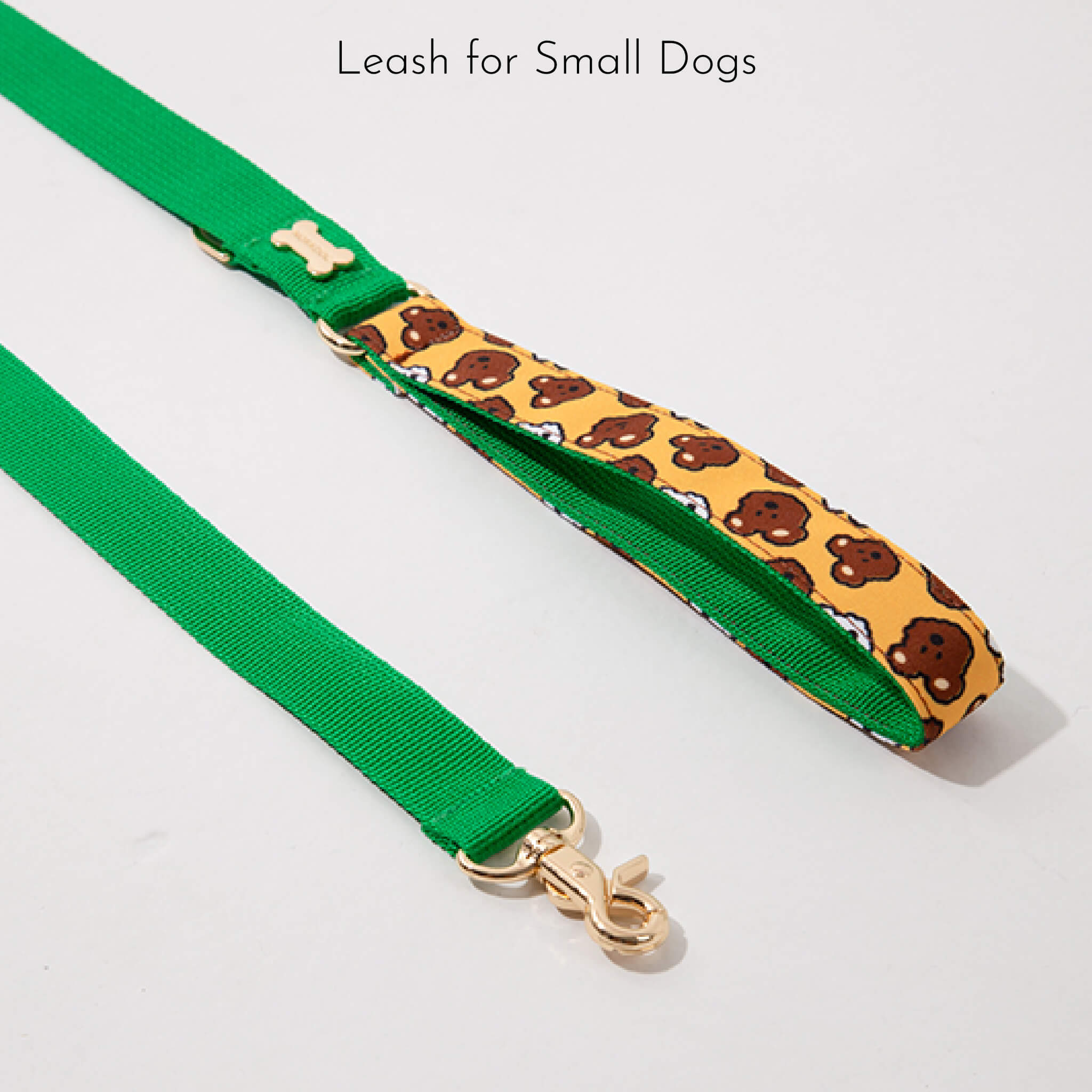leash for small dogs