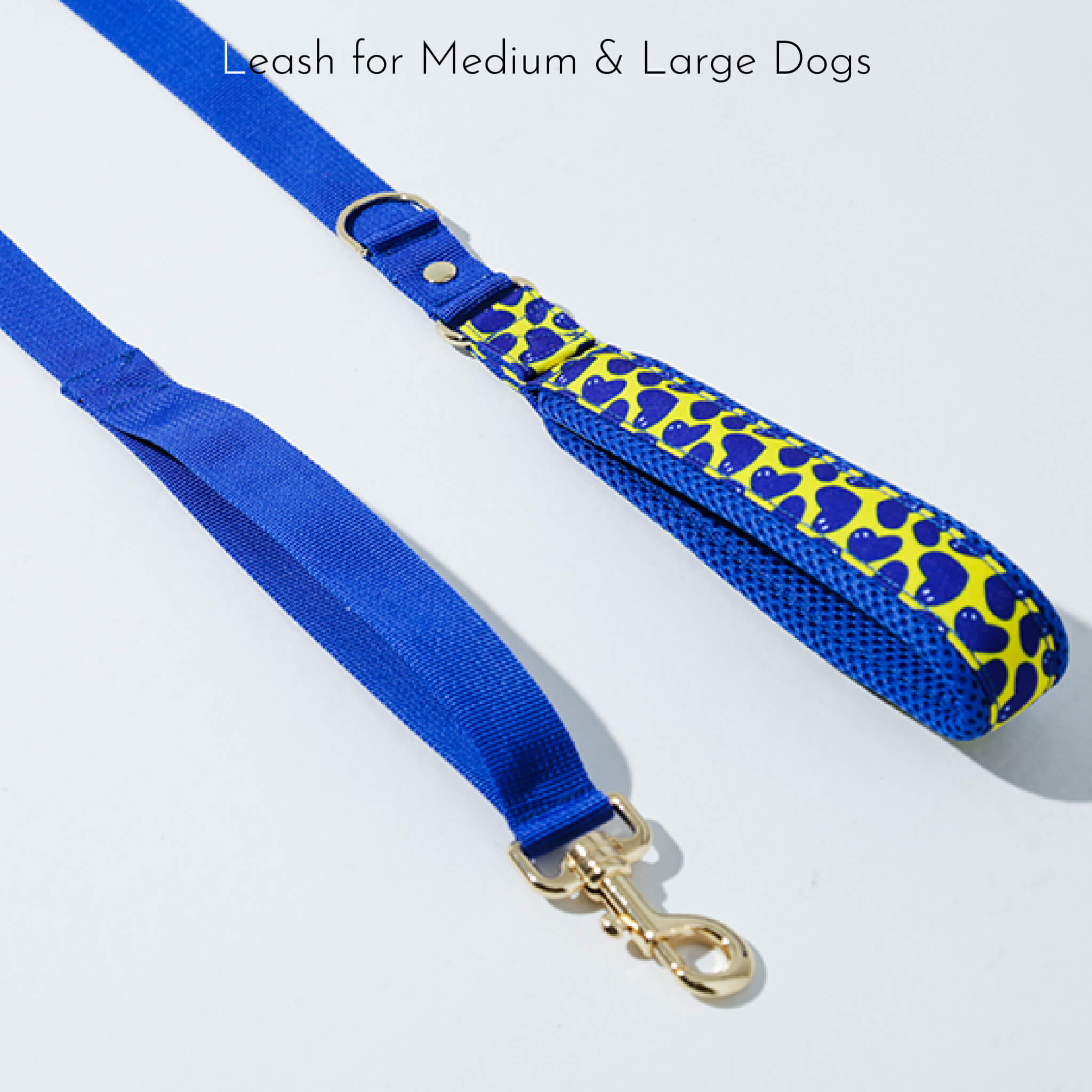 leash for medium & large dogs