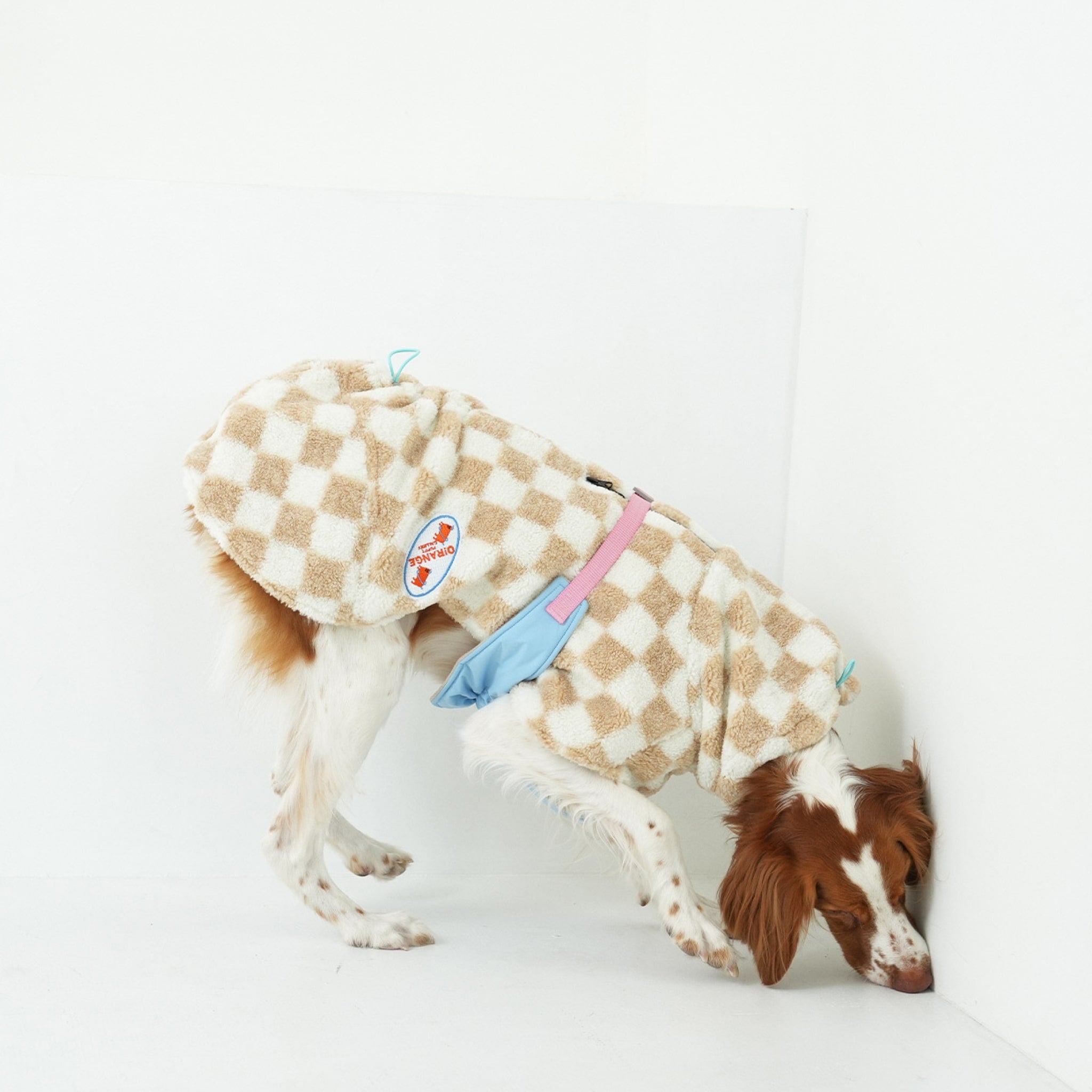 Dog wearing the beige and white checkerboard fleece padding jacket