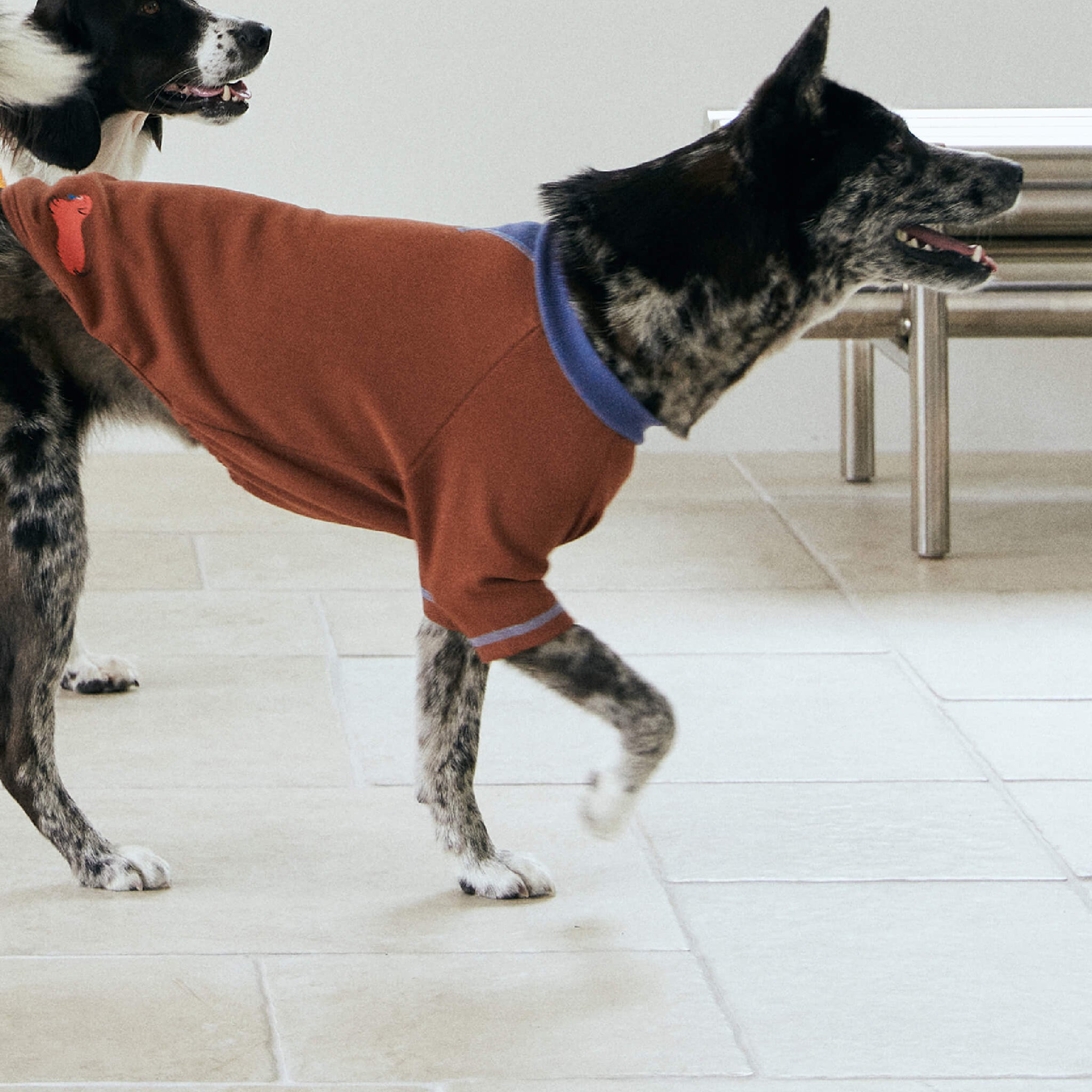 Nies pullover in brown. Model is wearing a size 3L.