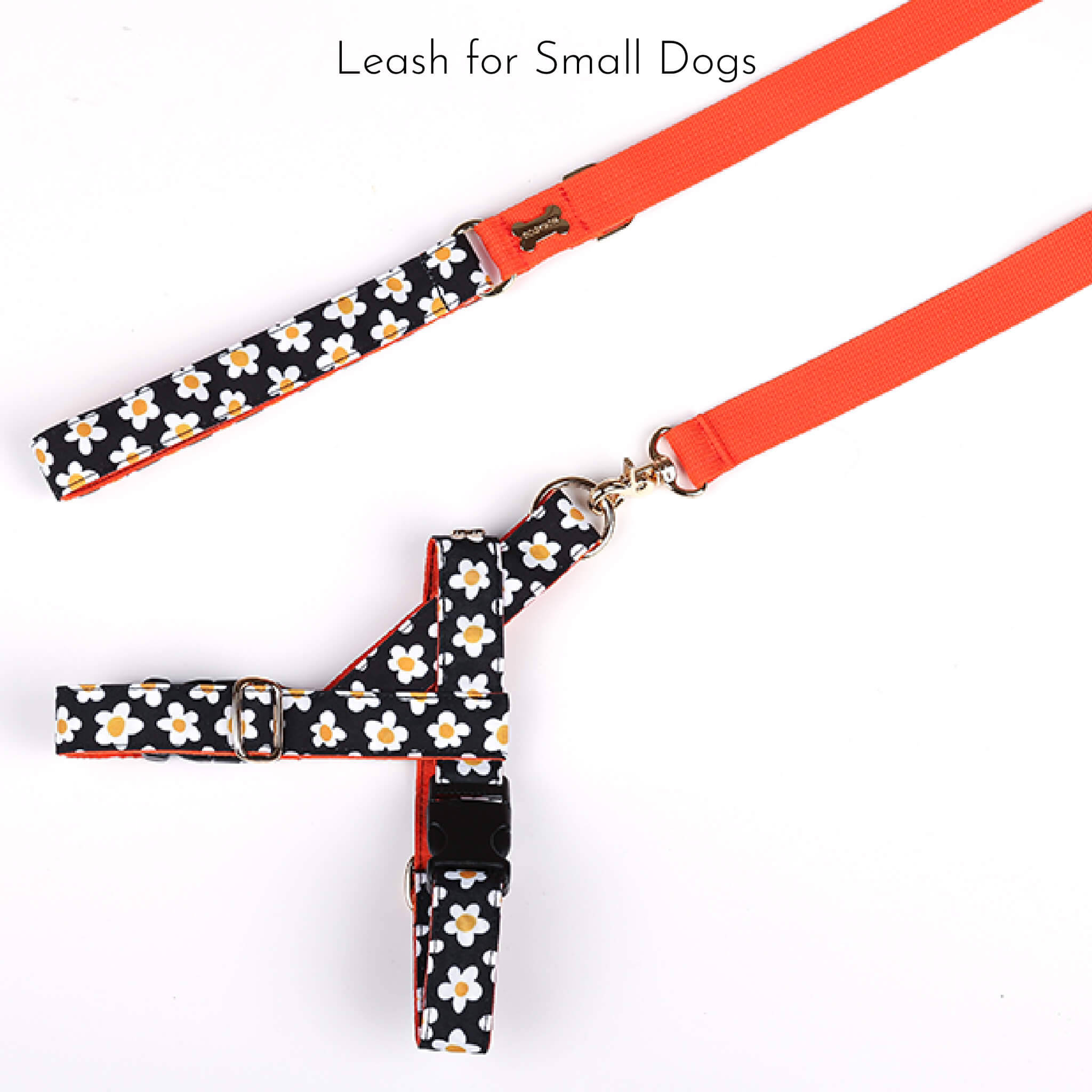 leash for small dogs