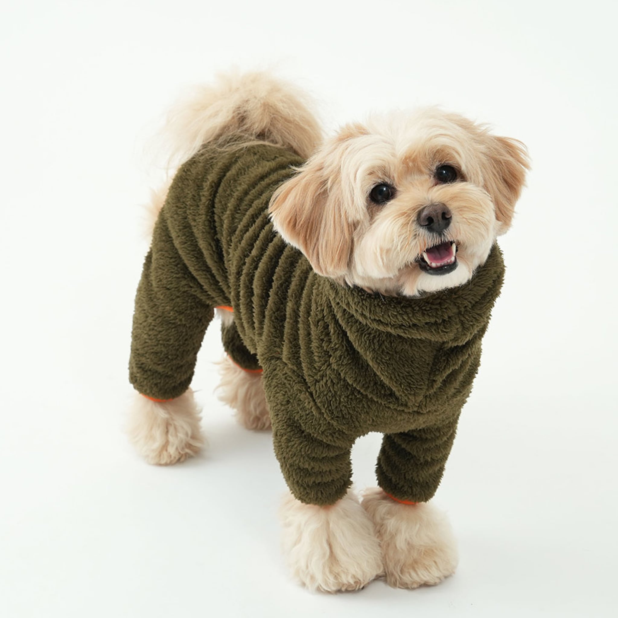 Dog wearing north fleece jumpsuit