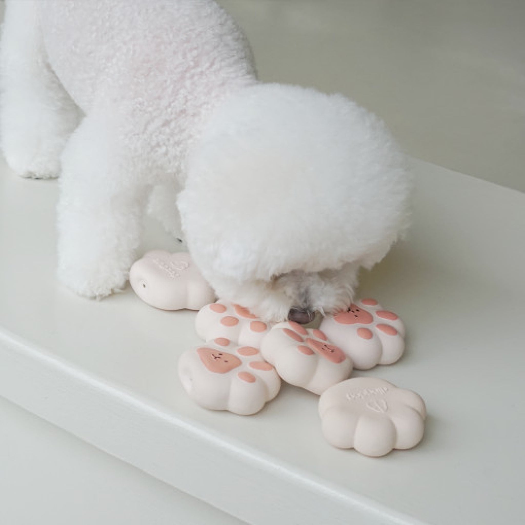 dog sniffing multiple jelly paw toys