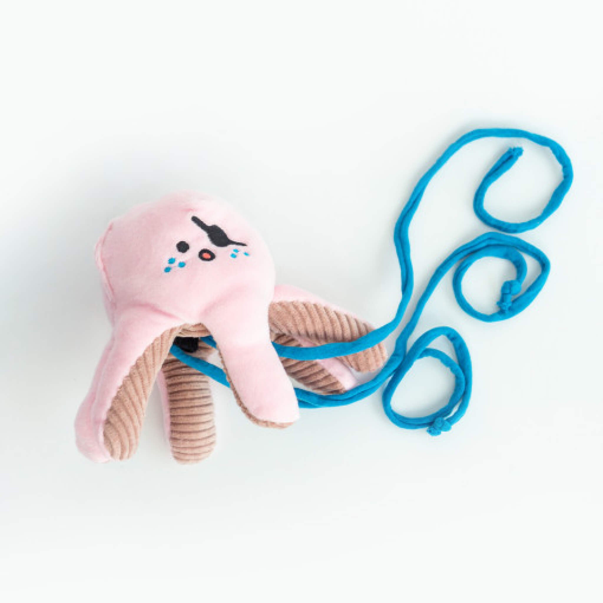 Octopus nosework toy.