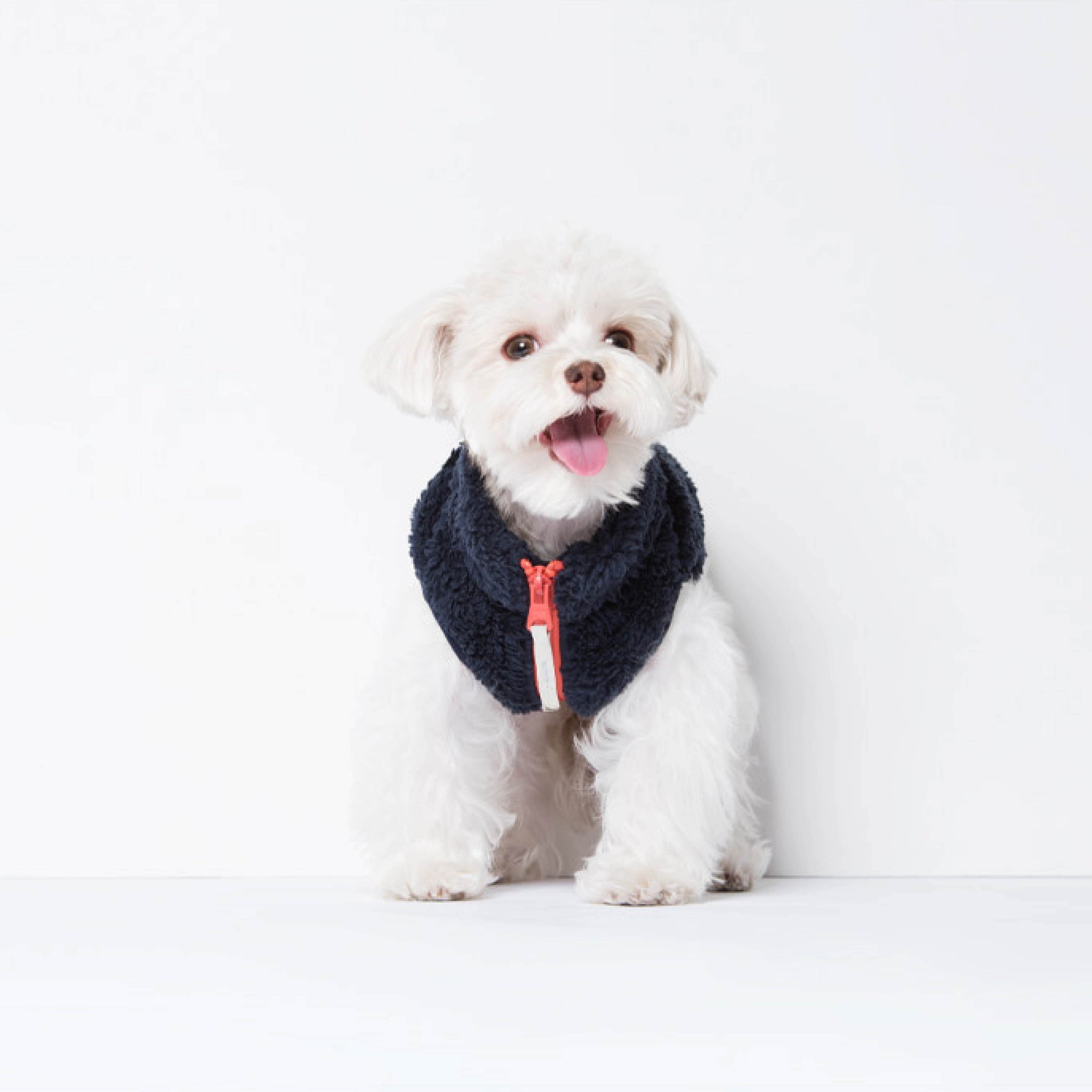 Zip-up vest made of warm material. Models is wearing a SM & weighs 6 pounds (2.8 kg).
