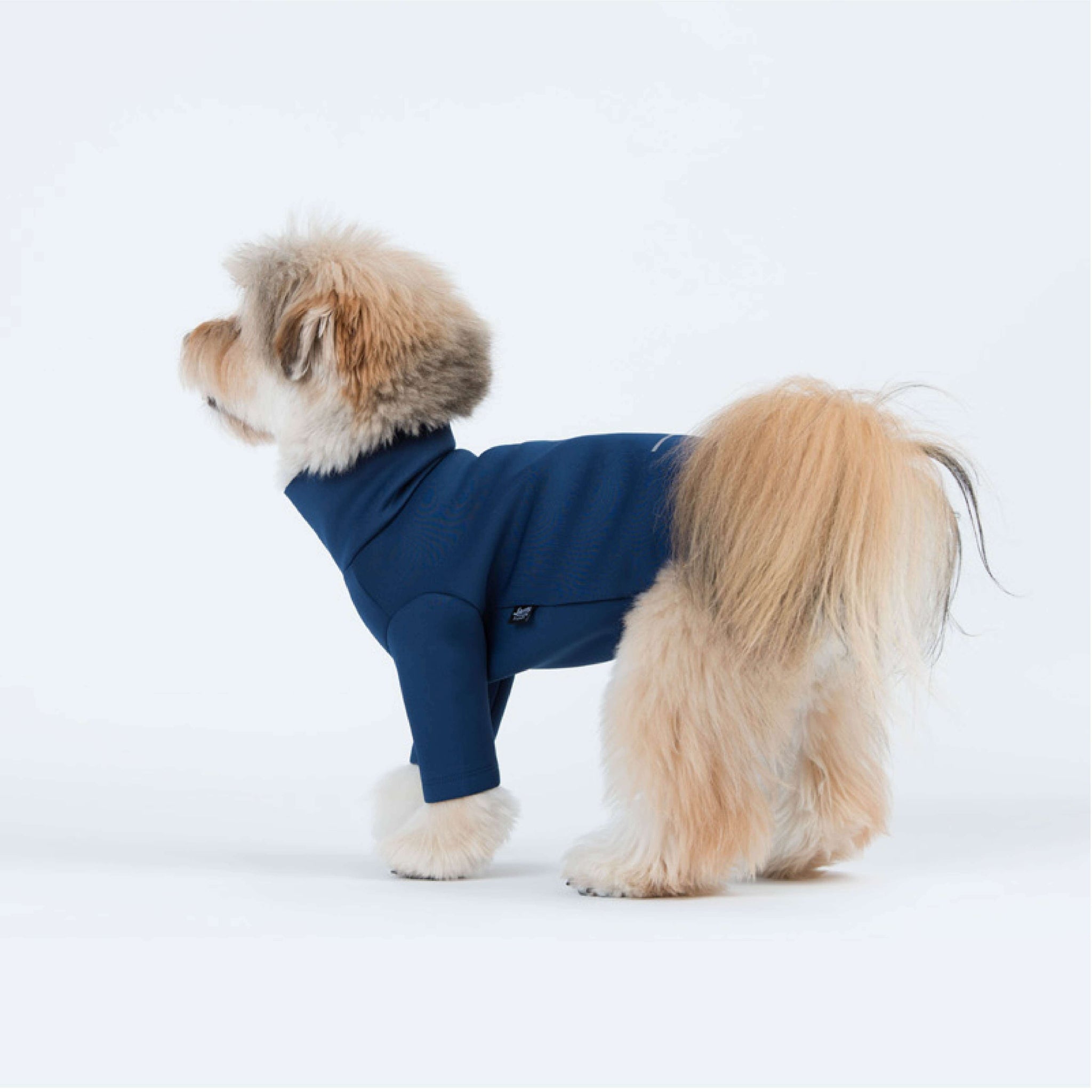 Turtleneck t-shirt made of neoprene material in navy. Model is wearing a L & weighs 11 pounds (5 kg).