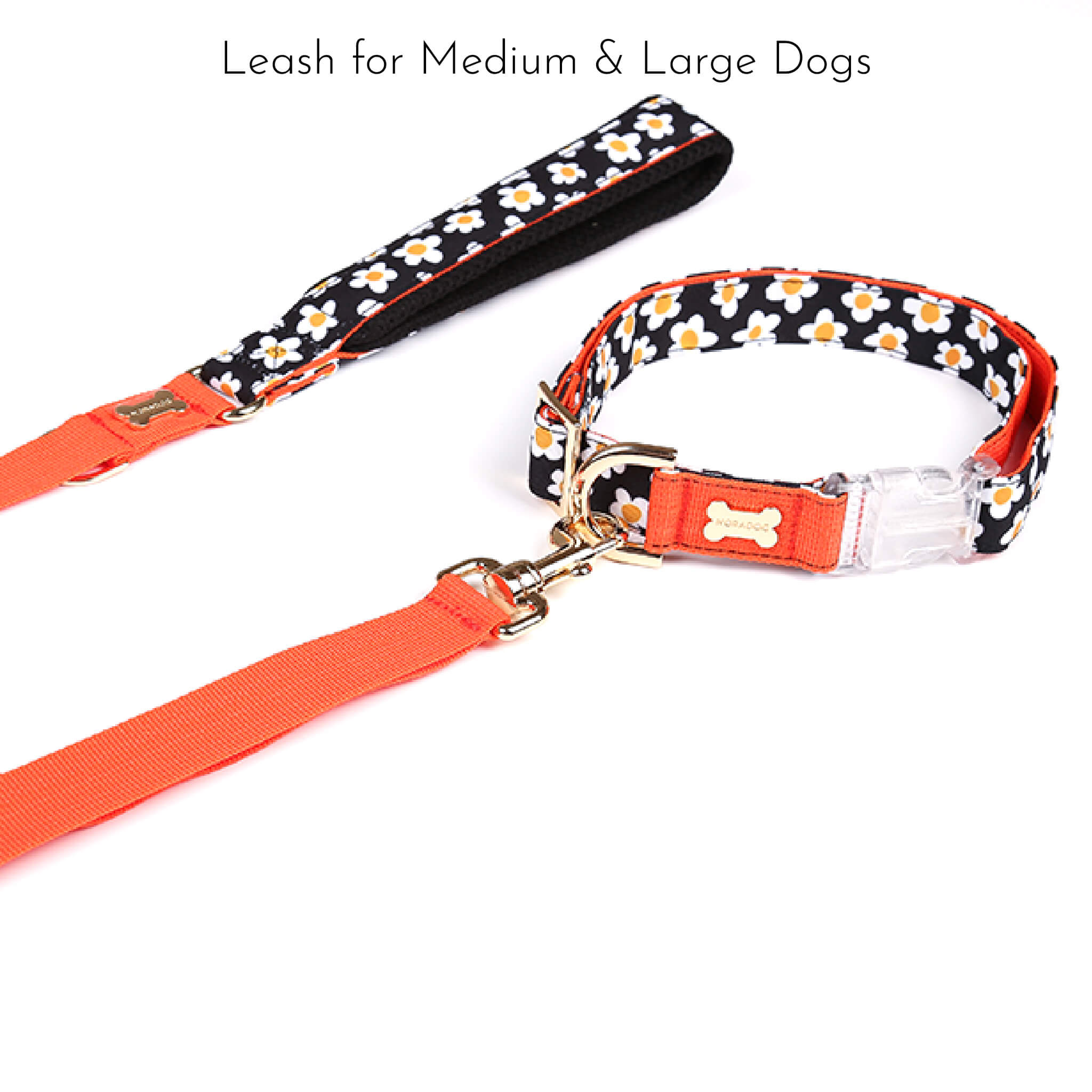 leash for medium & large dogs.