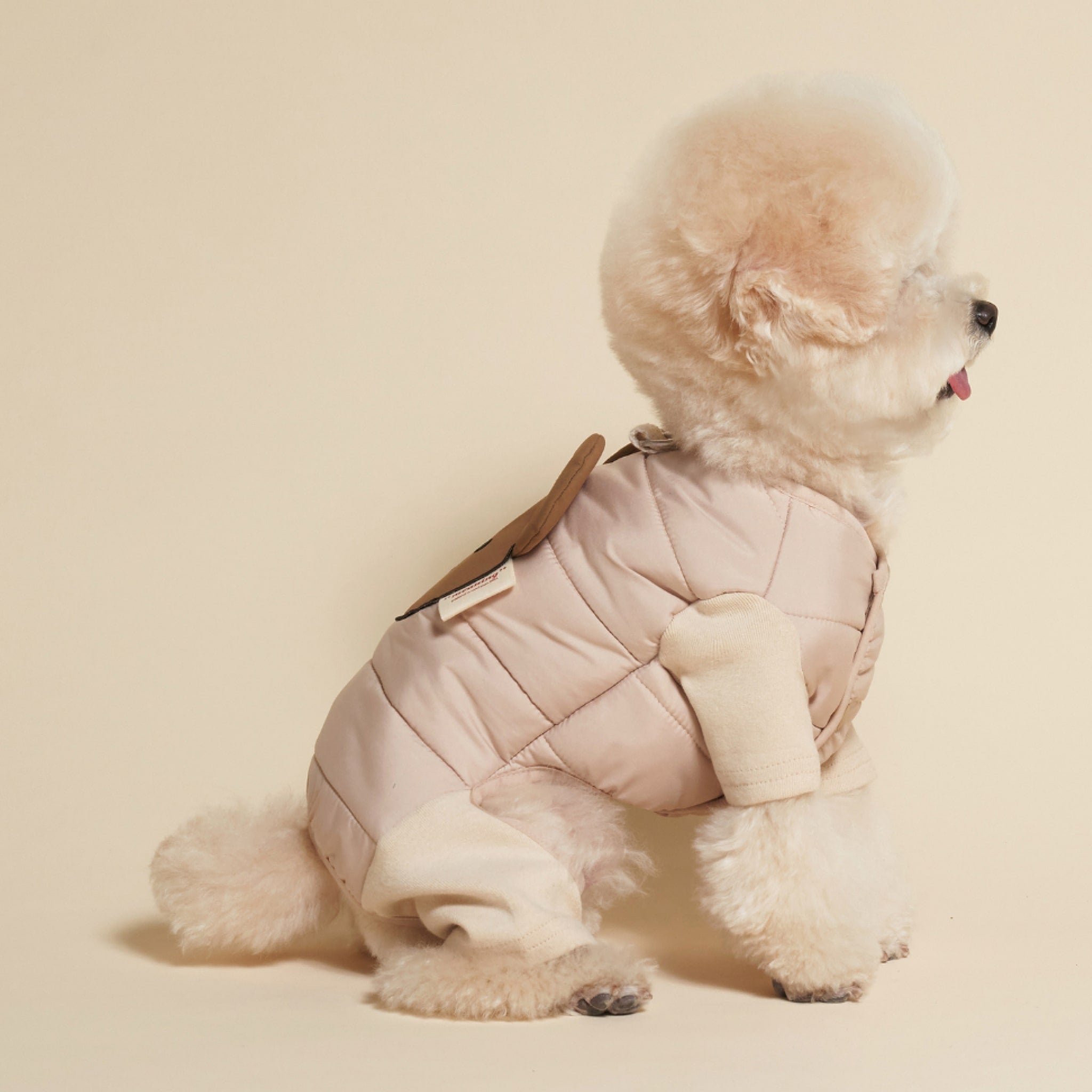 Dog wearing beige padded bear jumpsuit while sitting, side view