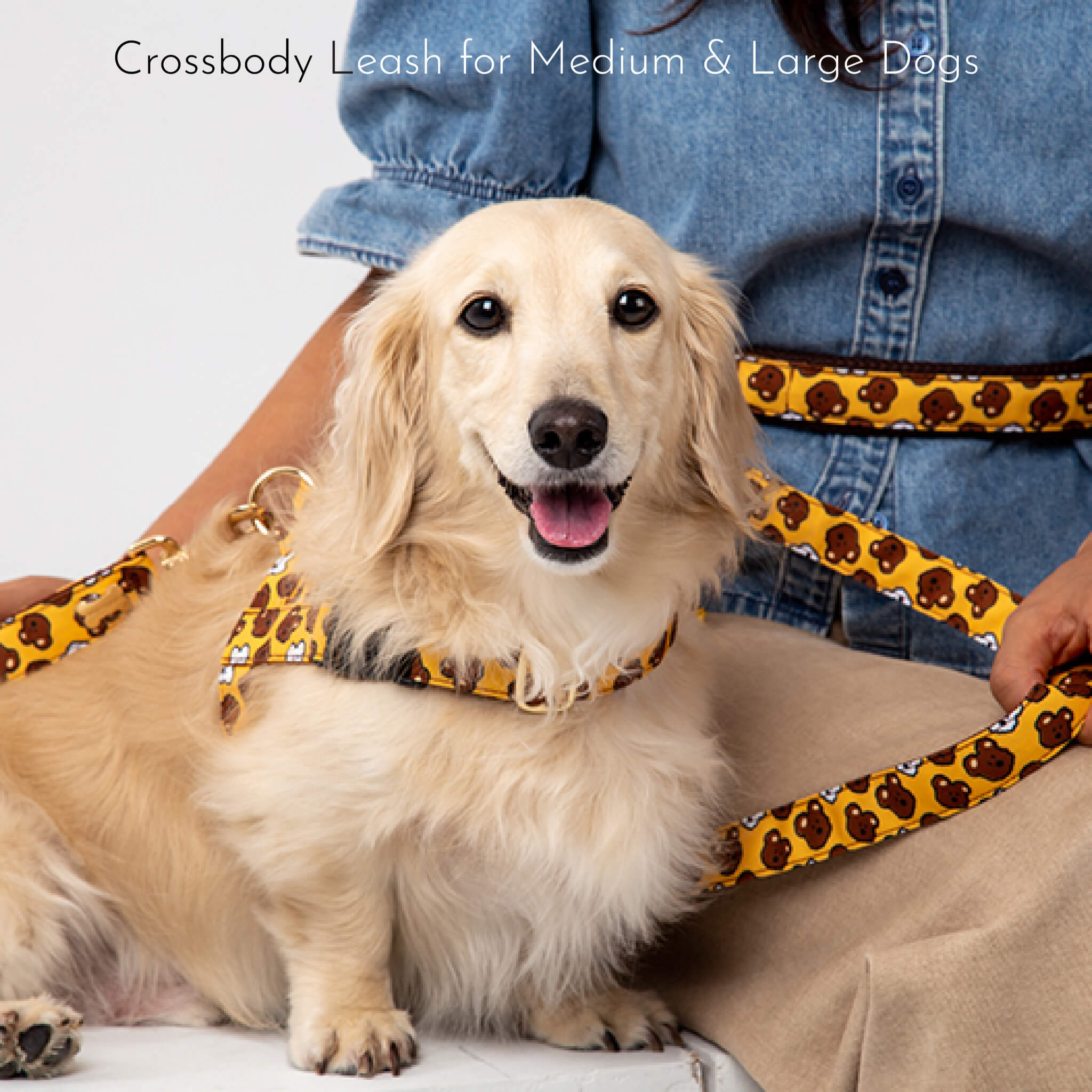 crossbody leash for medium & large dogs