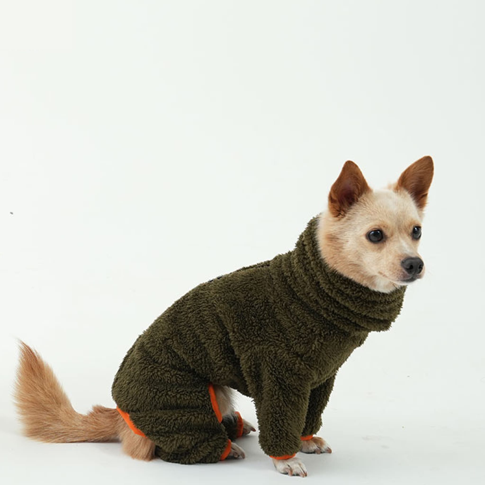 Dog wearing north fleece jumpsuit