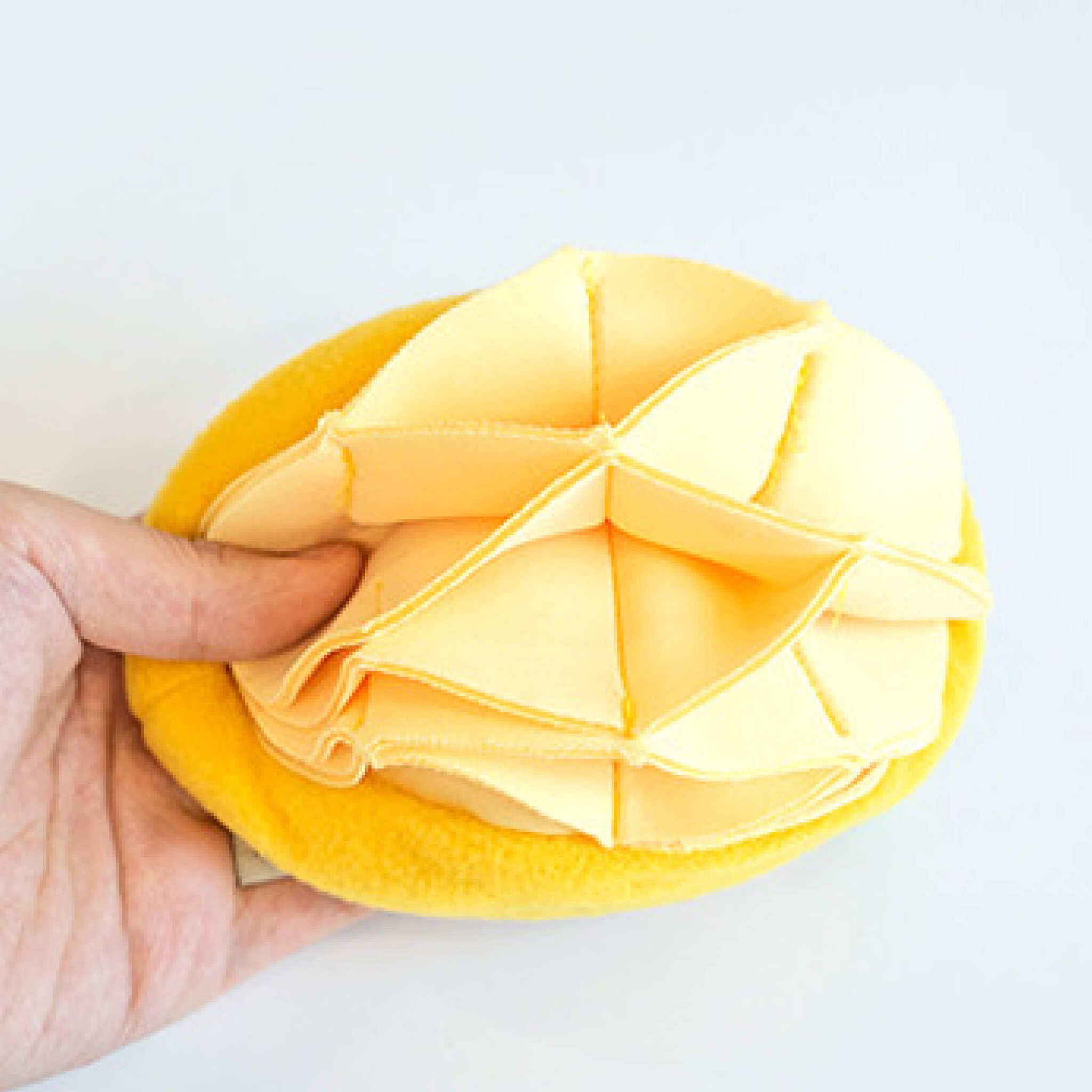 Inside the mango nosework toy.