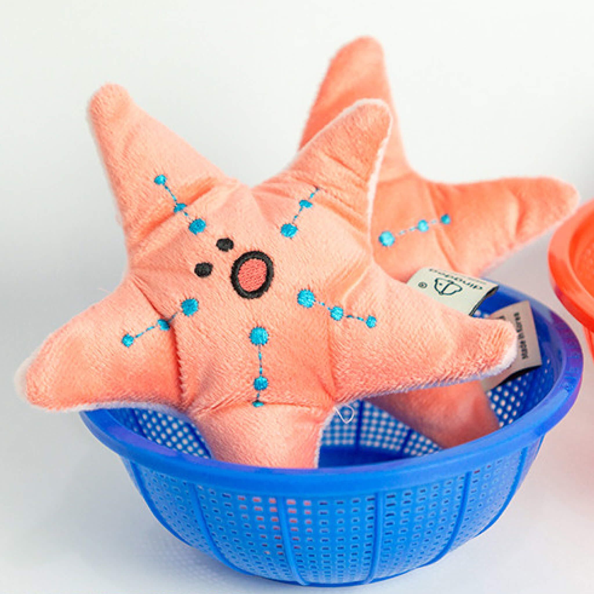 Starfish nosework toy.