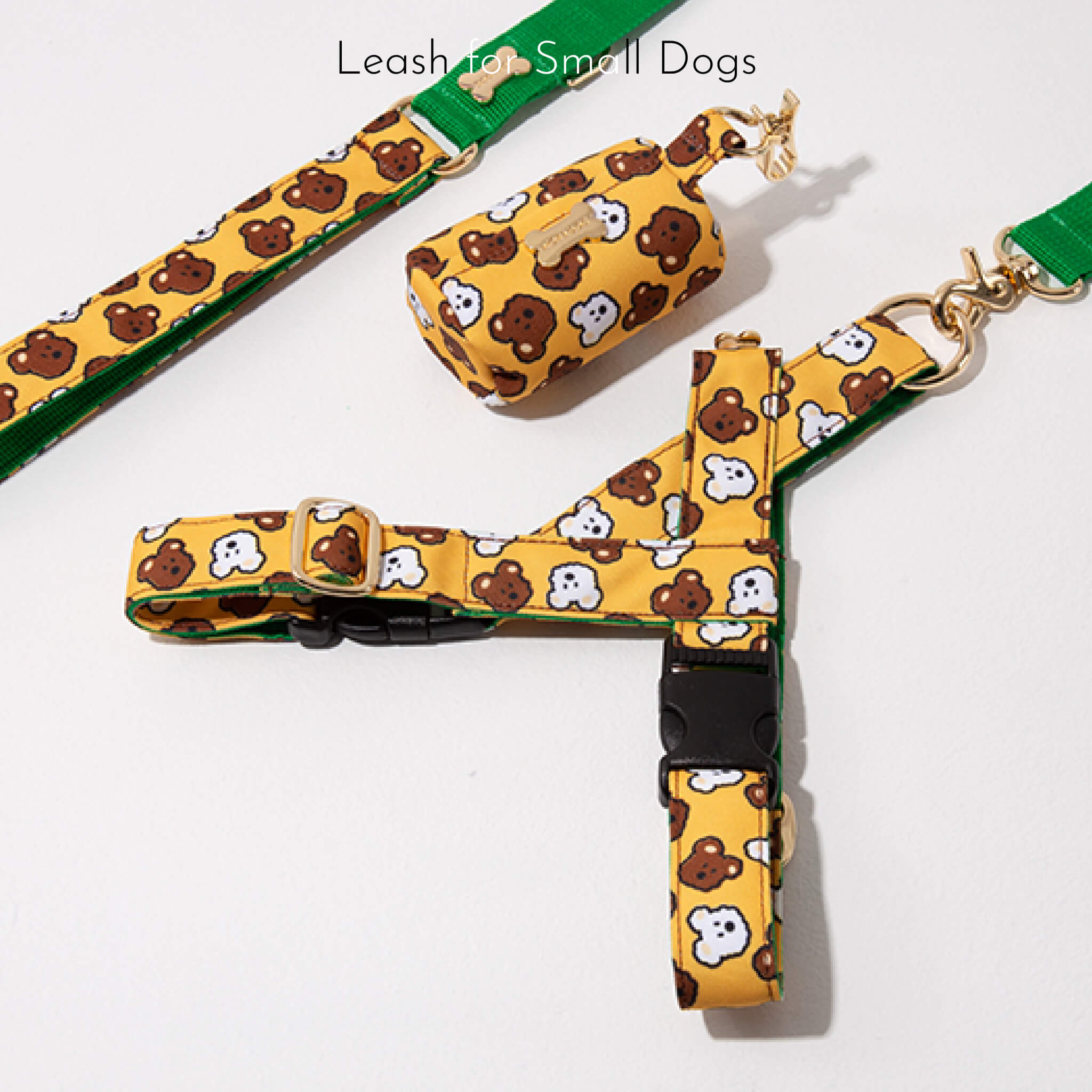 leash for small dogs
