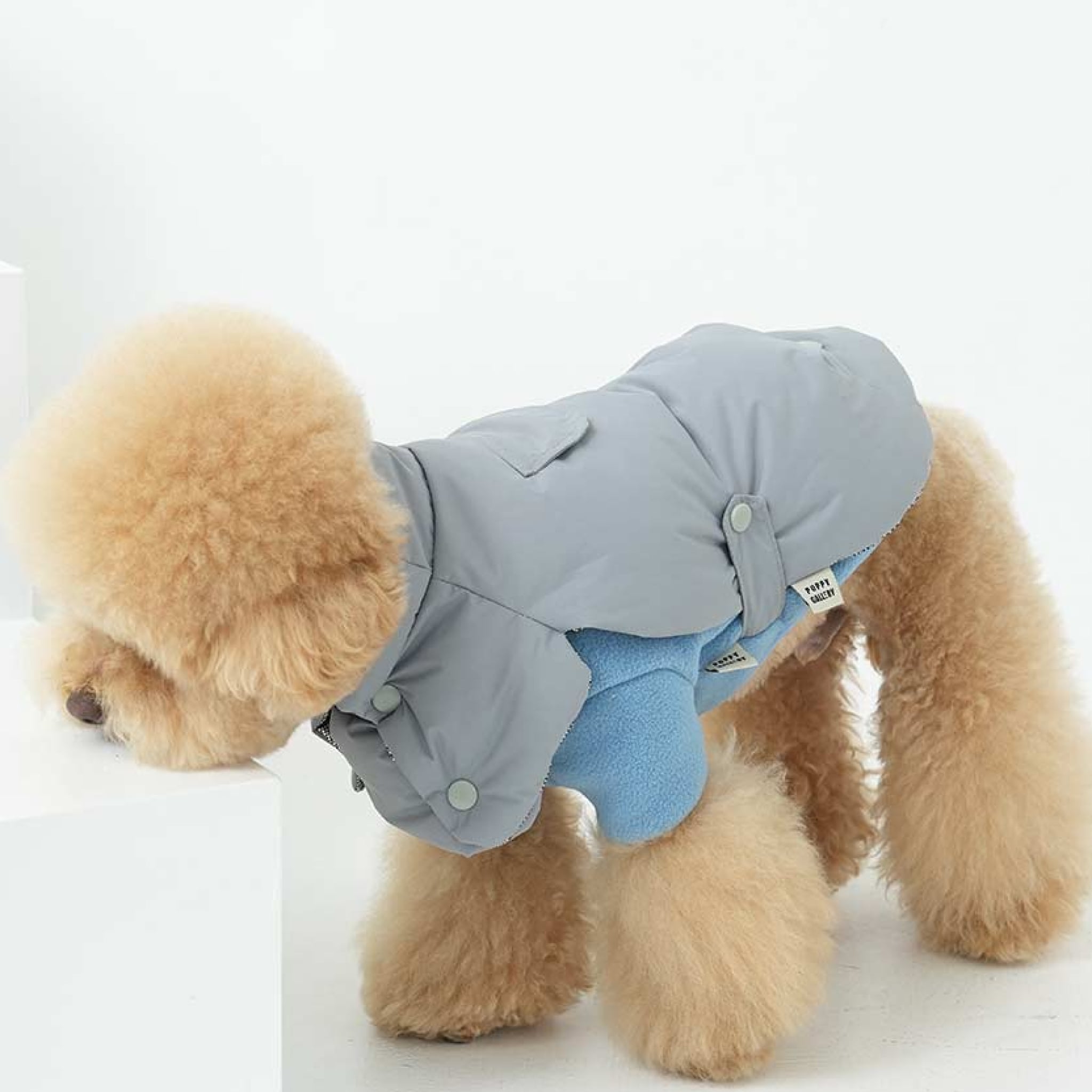Dog wearing the fleece neck warmer padded jacket set in grey and blue