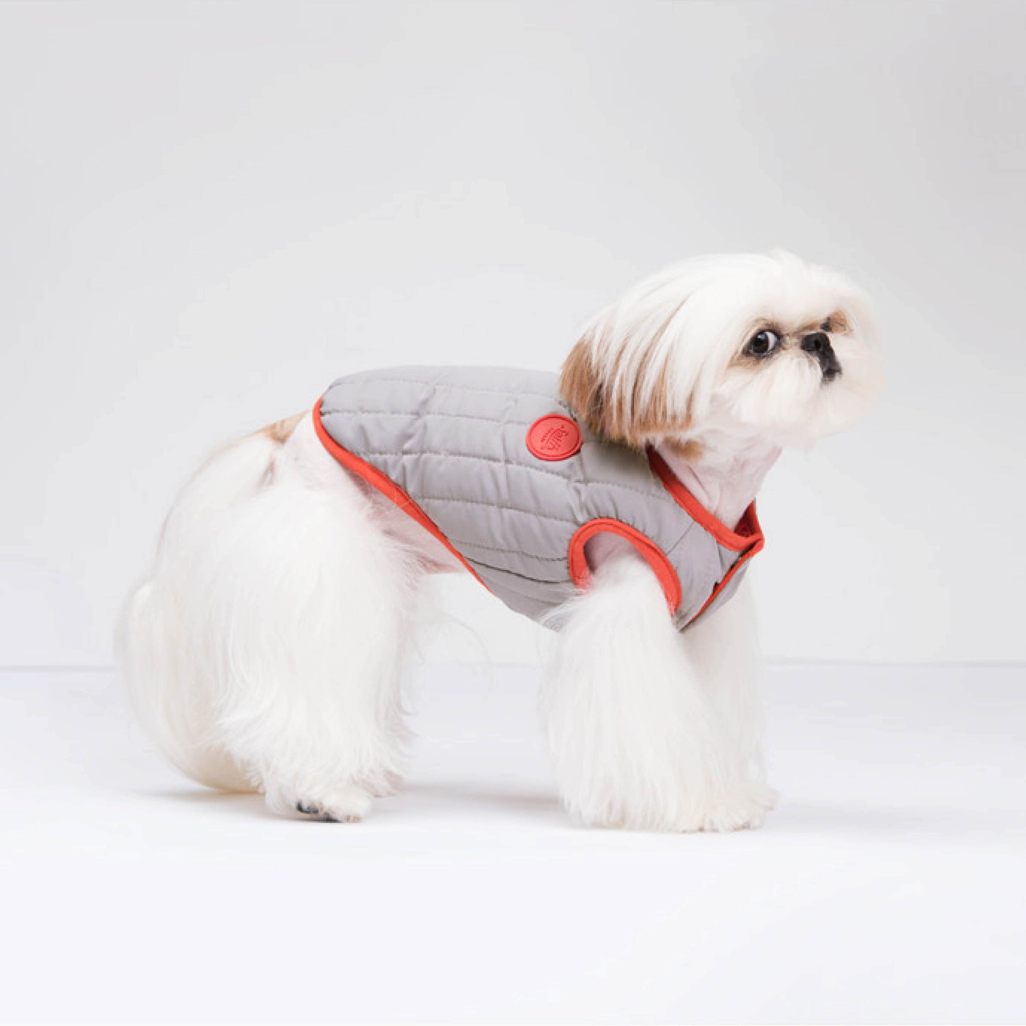 Padded, reversible vest. Model is wearing a SM & weighs 6 pounds (2.8 kg).