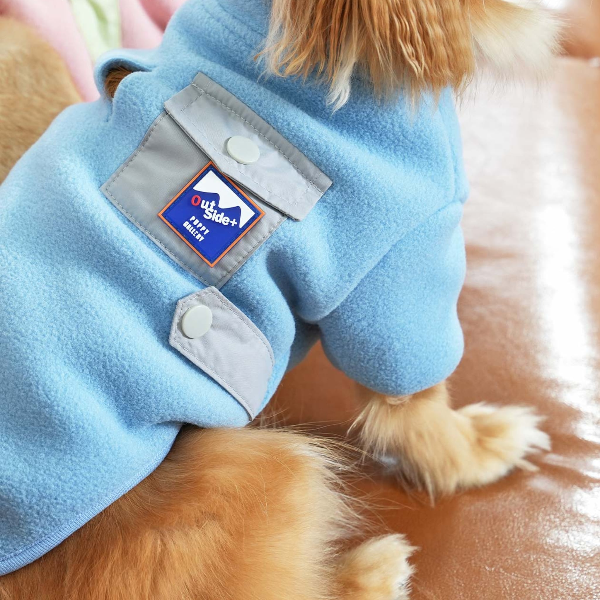 Dog wearing the fleece neck warmer padded jacket set in grey and blue
