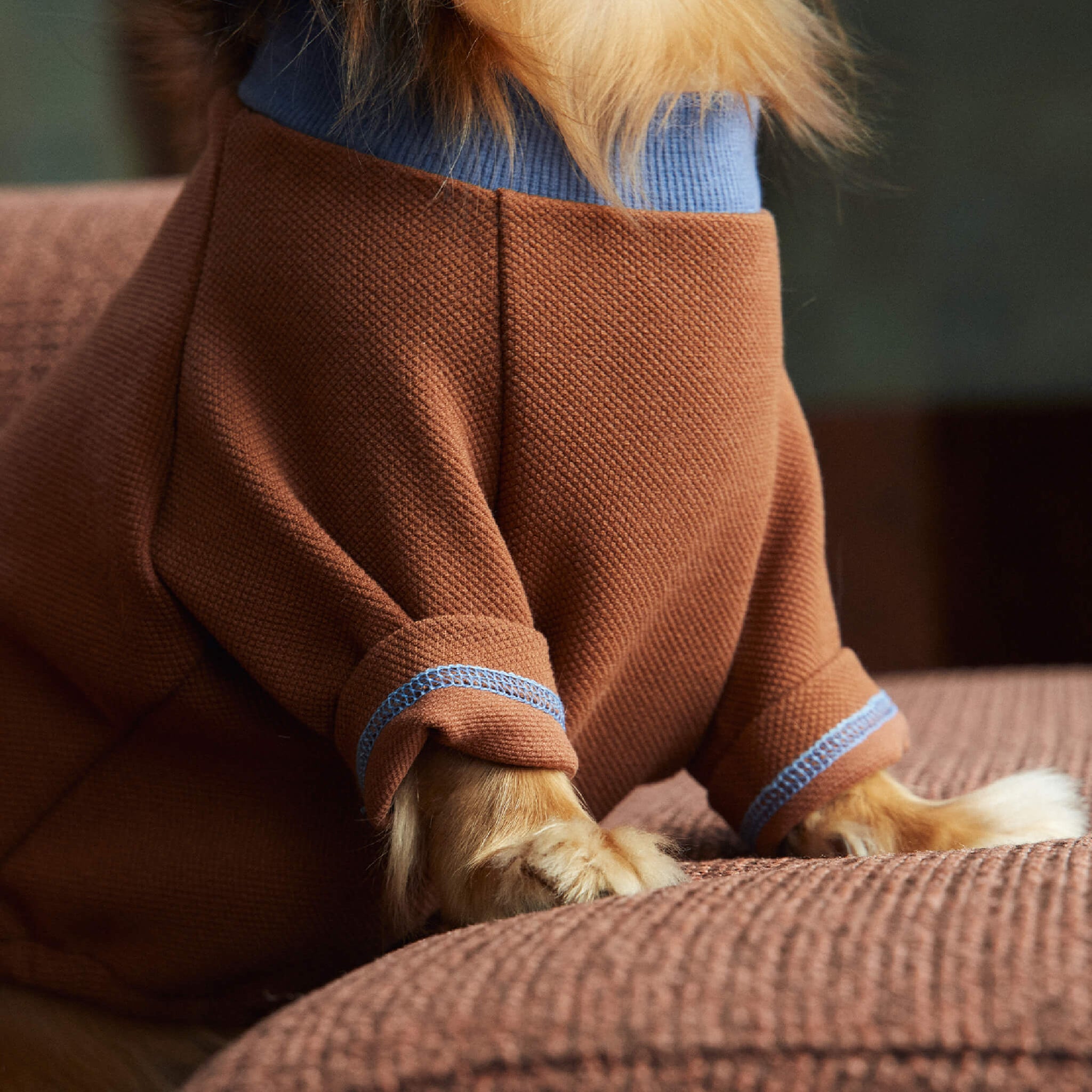 Upclose view of nies pullover in brown with blue accent stitching and collar. Model is wearing a size L.