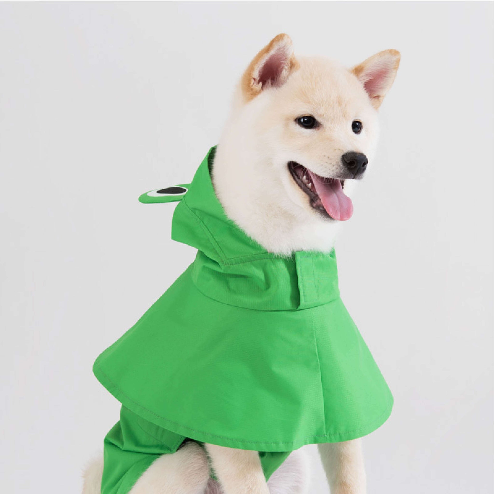 Frog raincoat for walking on a rainy day. Model is wearing a L & weighs 11 pounds (5 kg).