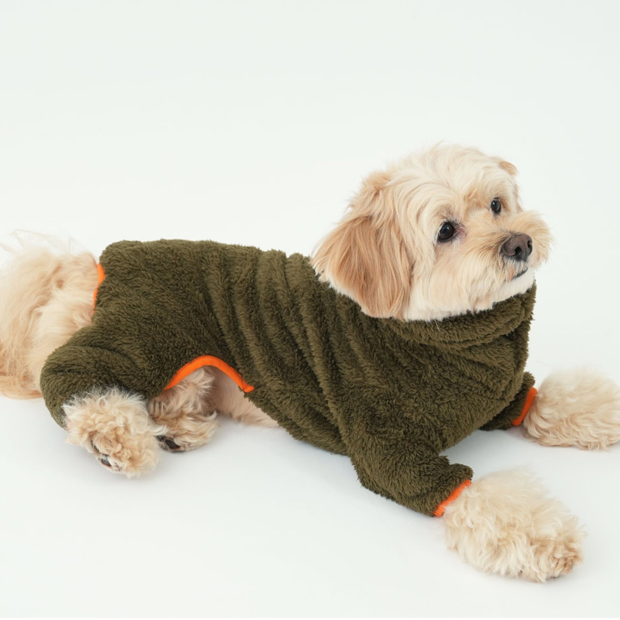 Dog wearing north fleece jumpsuit