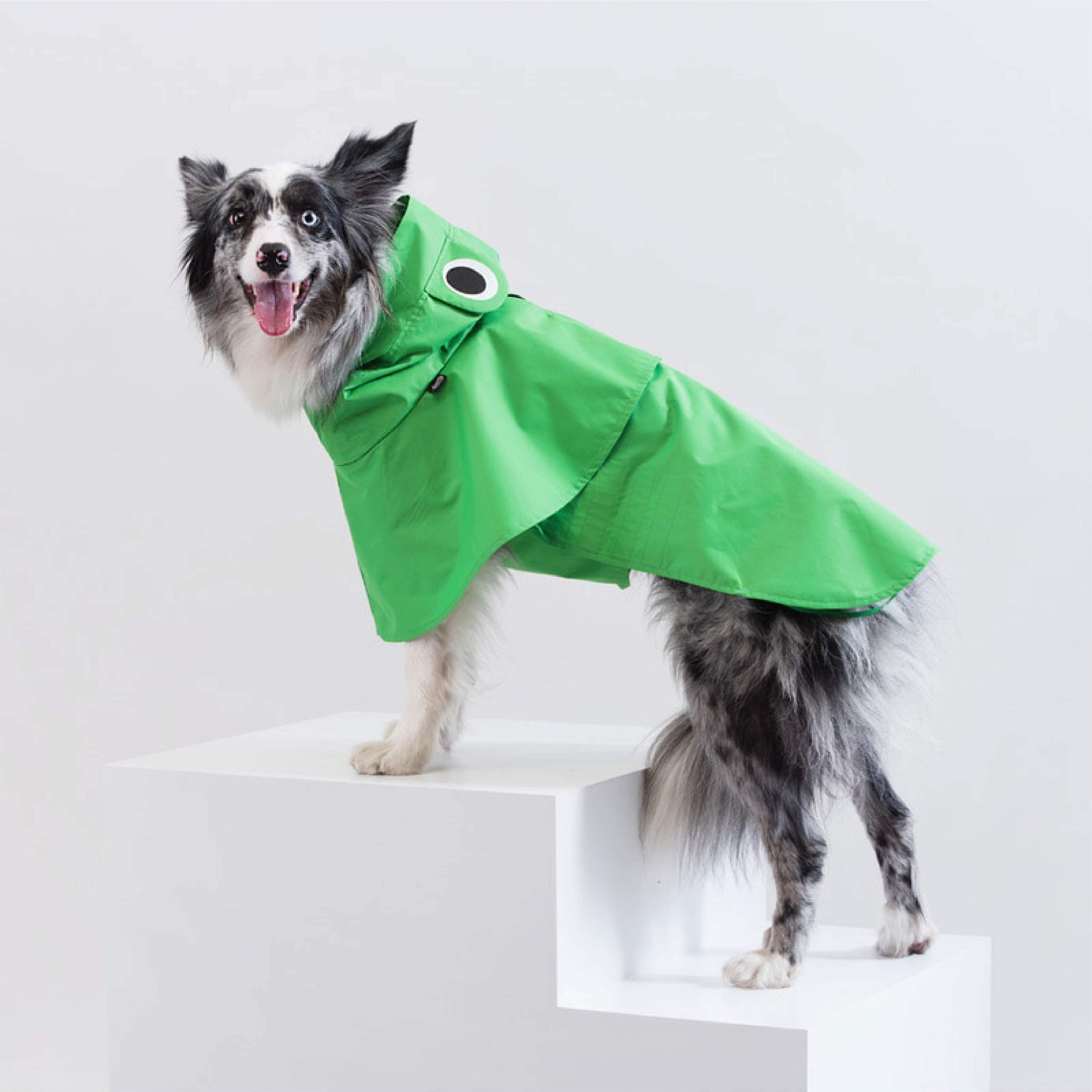 Frog raincoat for walking on a rainy day. Model is wearing a 3XL & weighs 37 pounds (17 kg). 