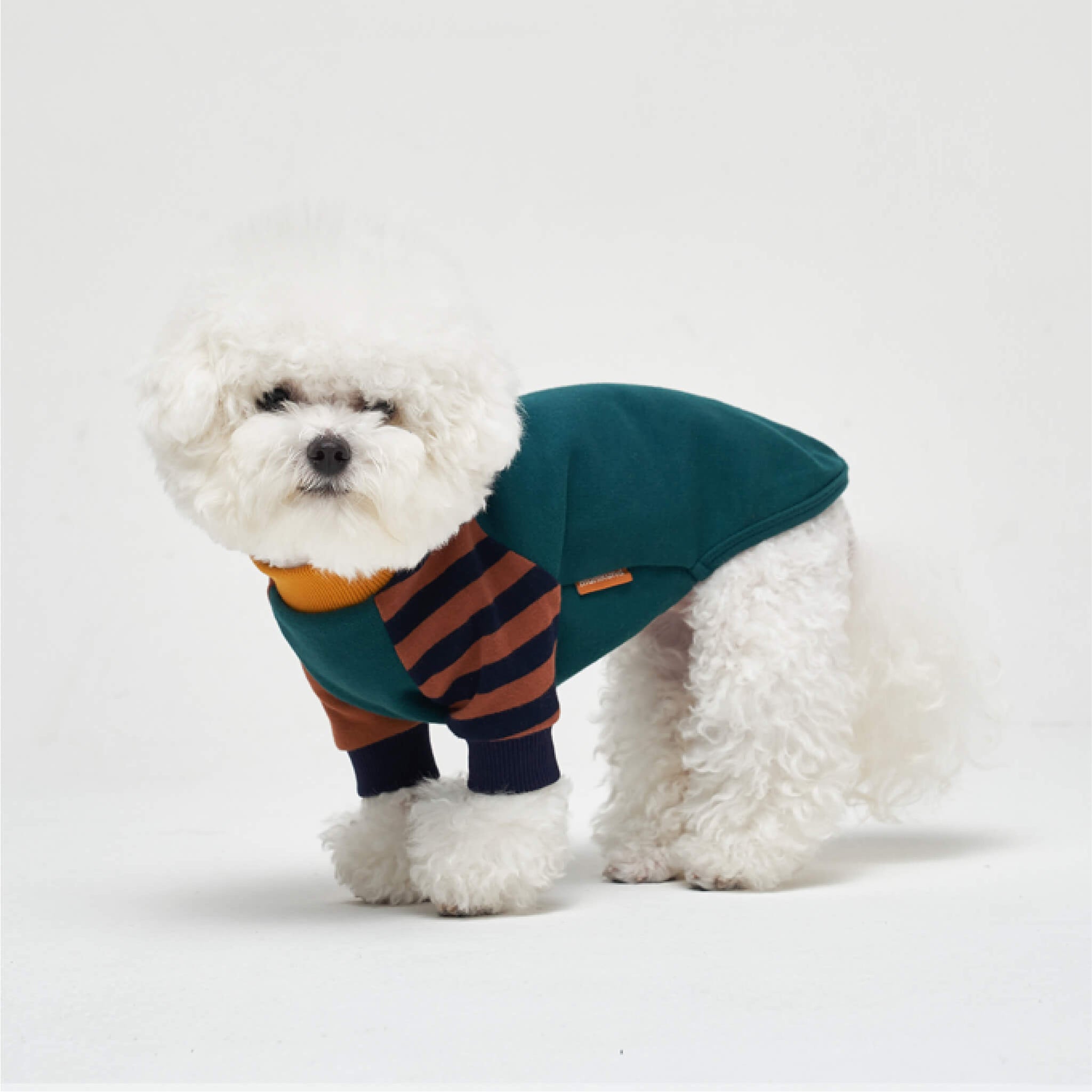 Lake louise pullover in green. Model is wearing a M.