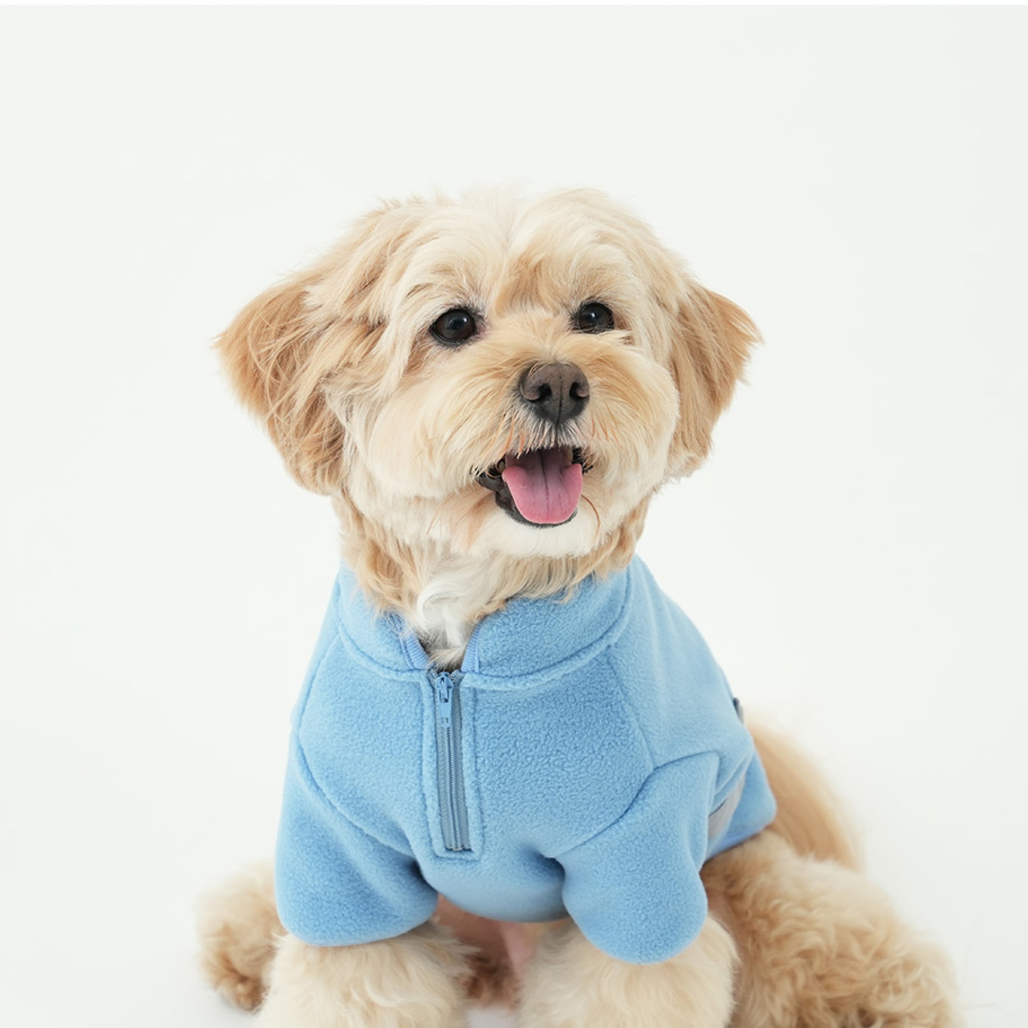 Dog wearing the fleece neck warmer padded jacket set in grey and blue