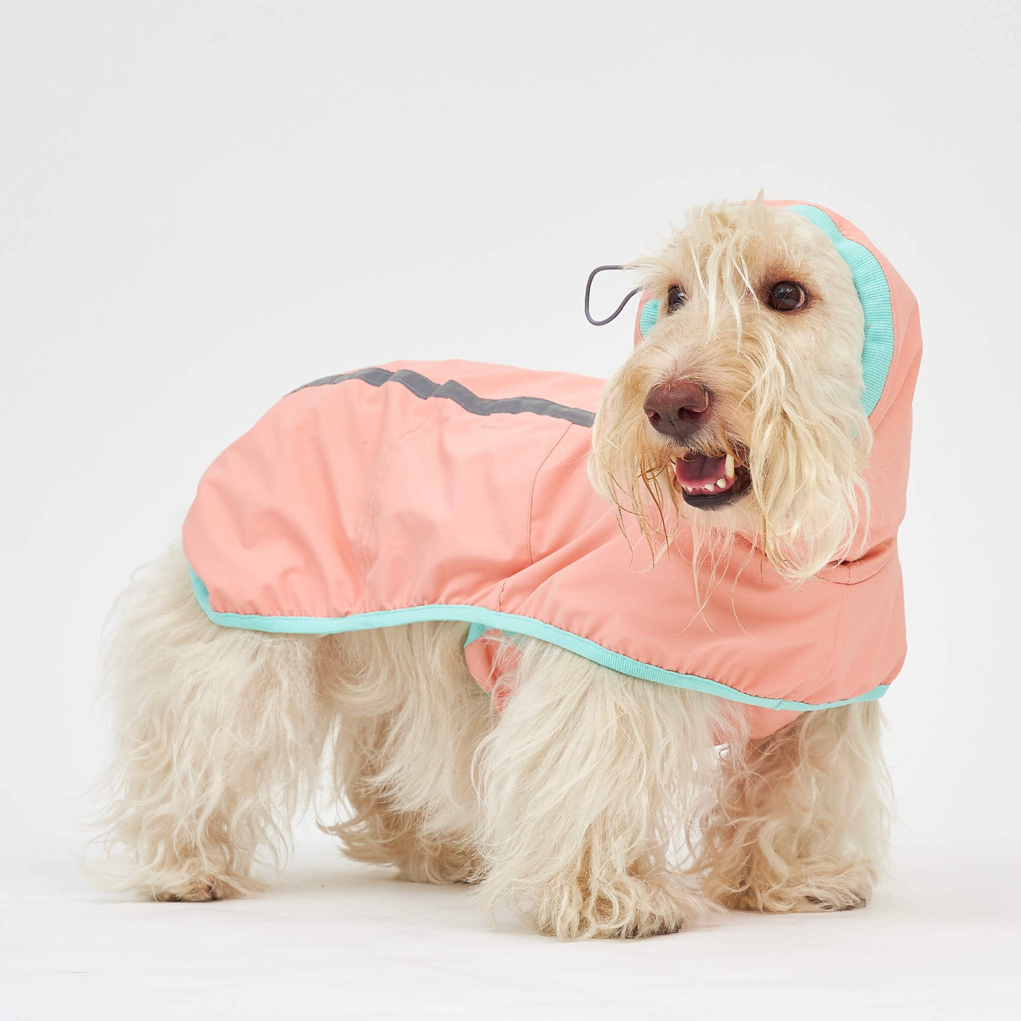 Rain coat in strawberry. Model is wearing a 2L.