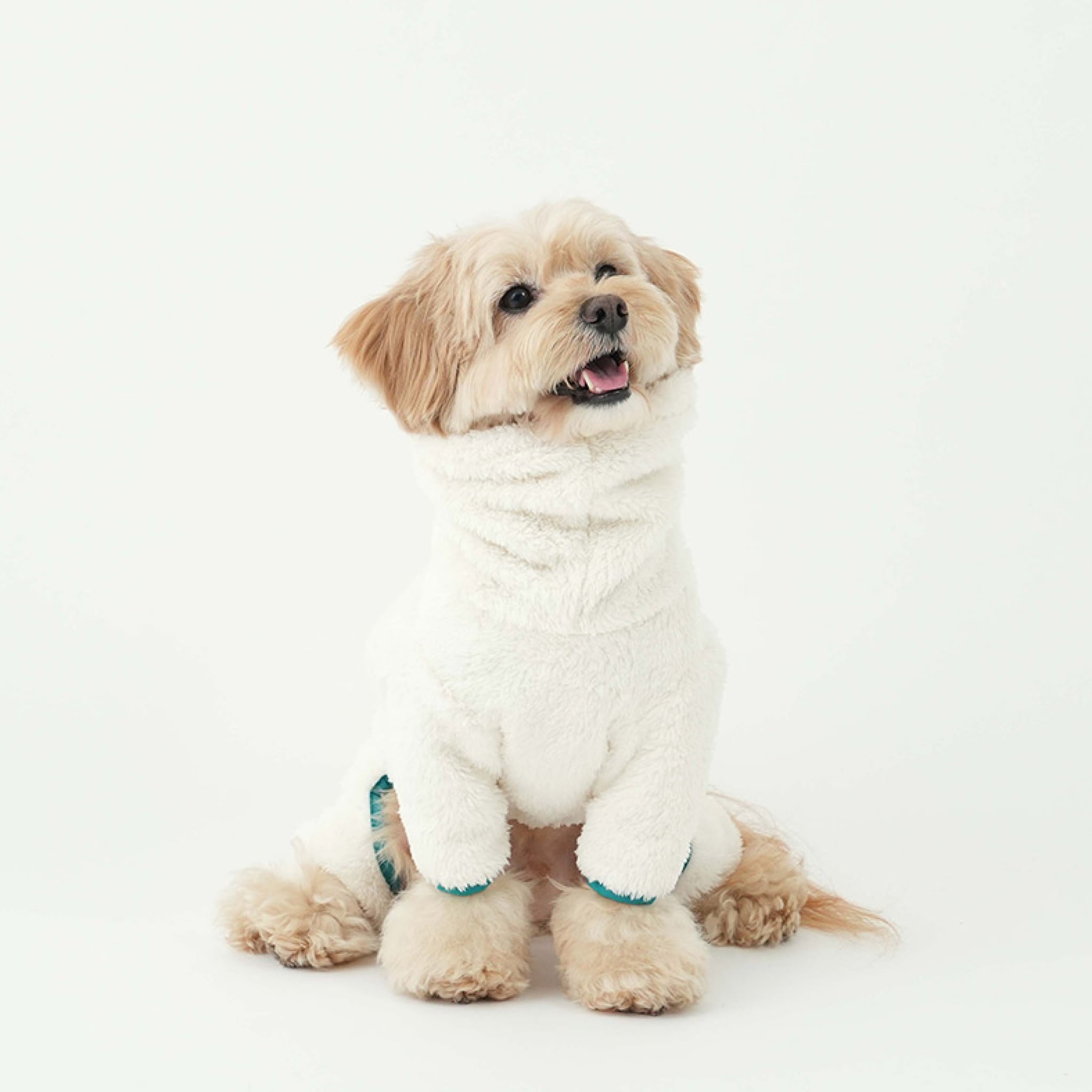 Dog wearing north fleece jumpsuit