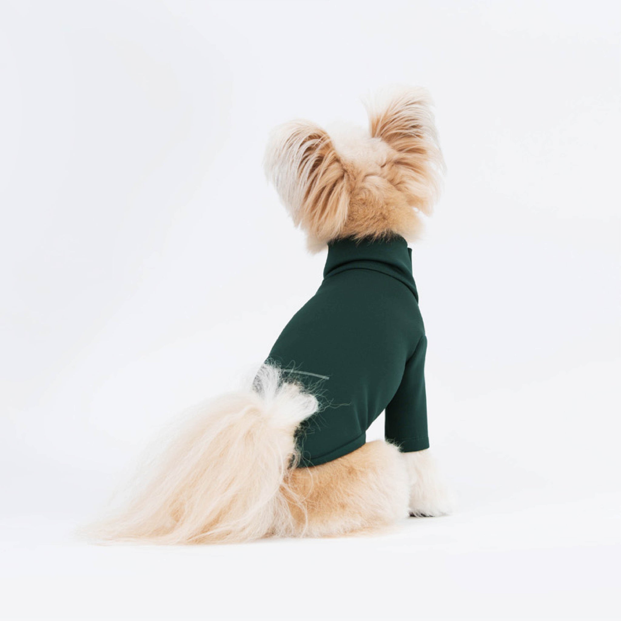 Turtleneck t-shirt made of neoprene material in deep green. Model is wearing a M & weighs 7 pounds (3.2 kg).
