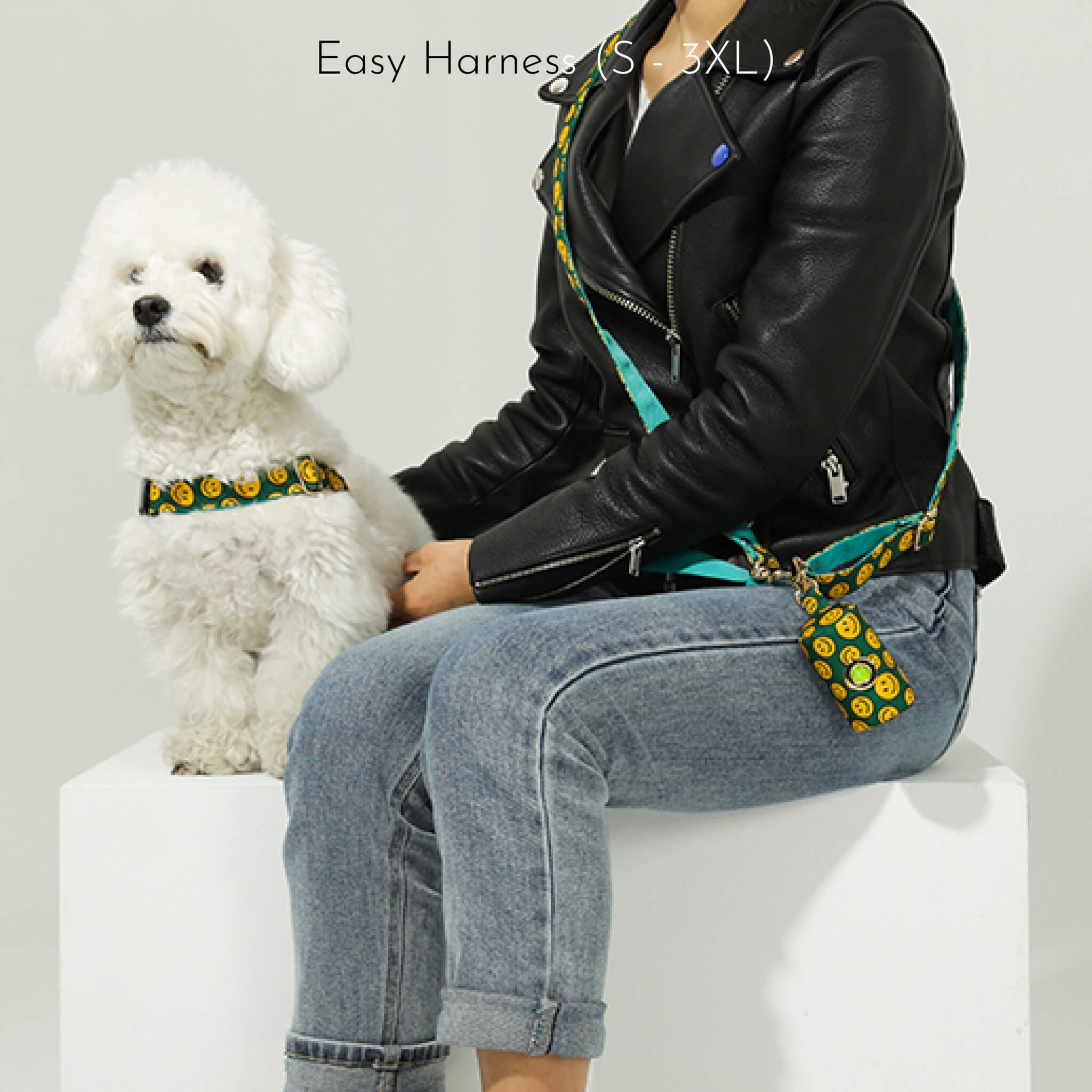 easy harness