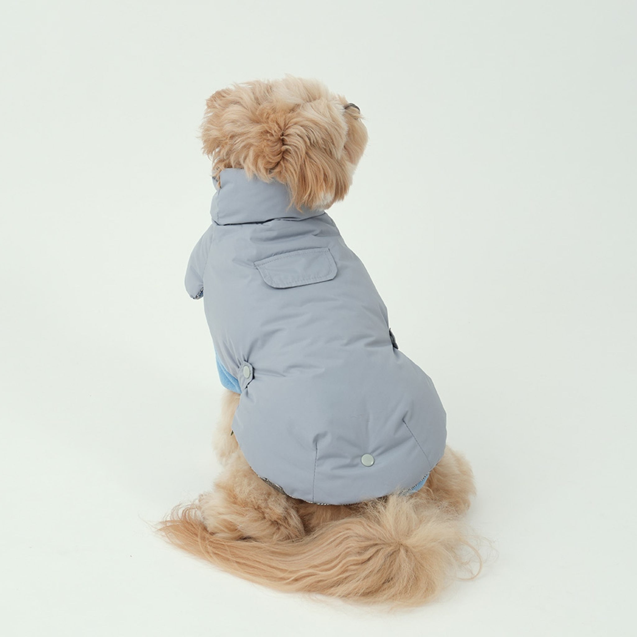 Dog wearing the fleece neck warmer padded jacket set in grey and blue
