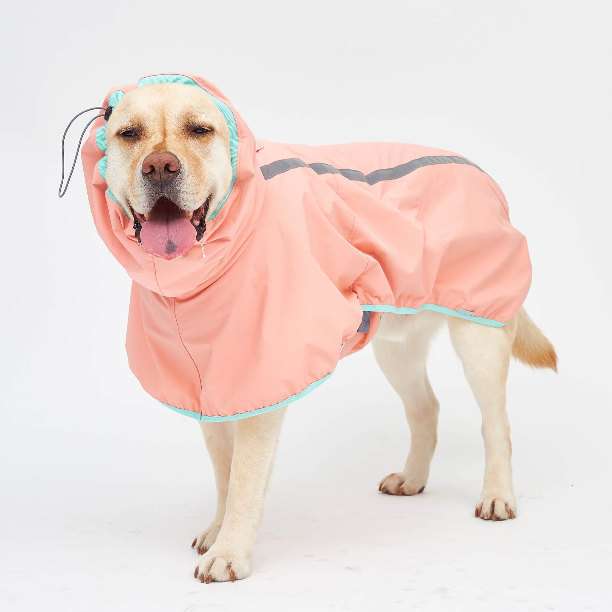 Rain coat in strawberry. Model is wearing a 6L.
