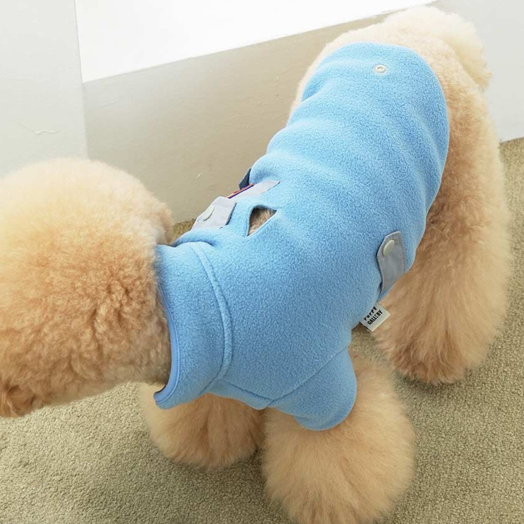 Dog wearing the fleece neck warmer padded jacket set in grey and blue