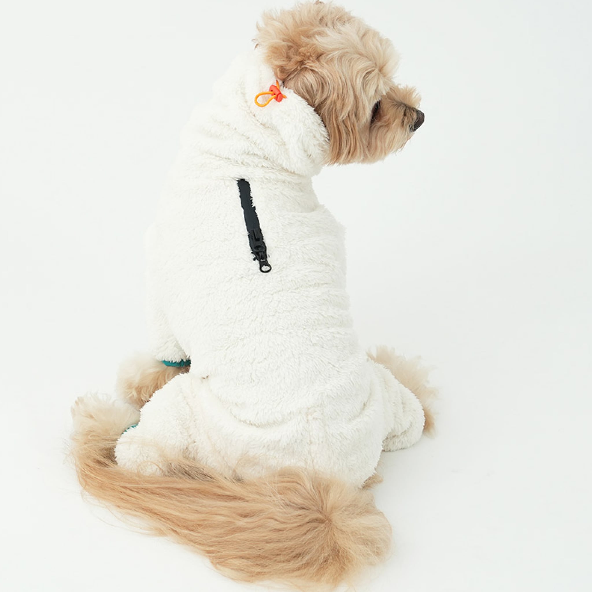 Dog wearing north fleece jumpsuit
