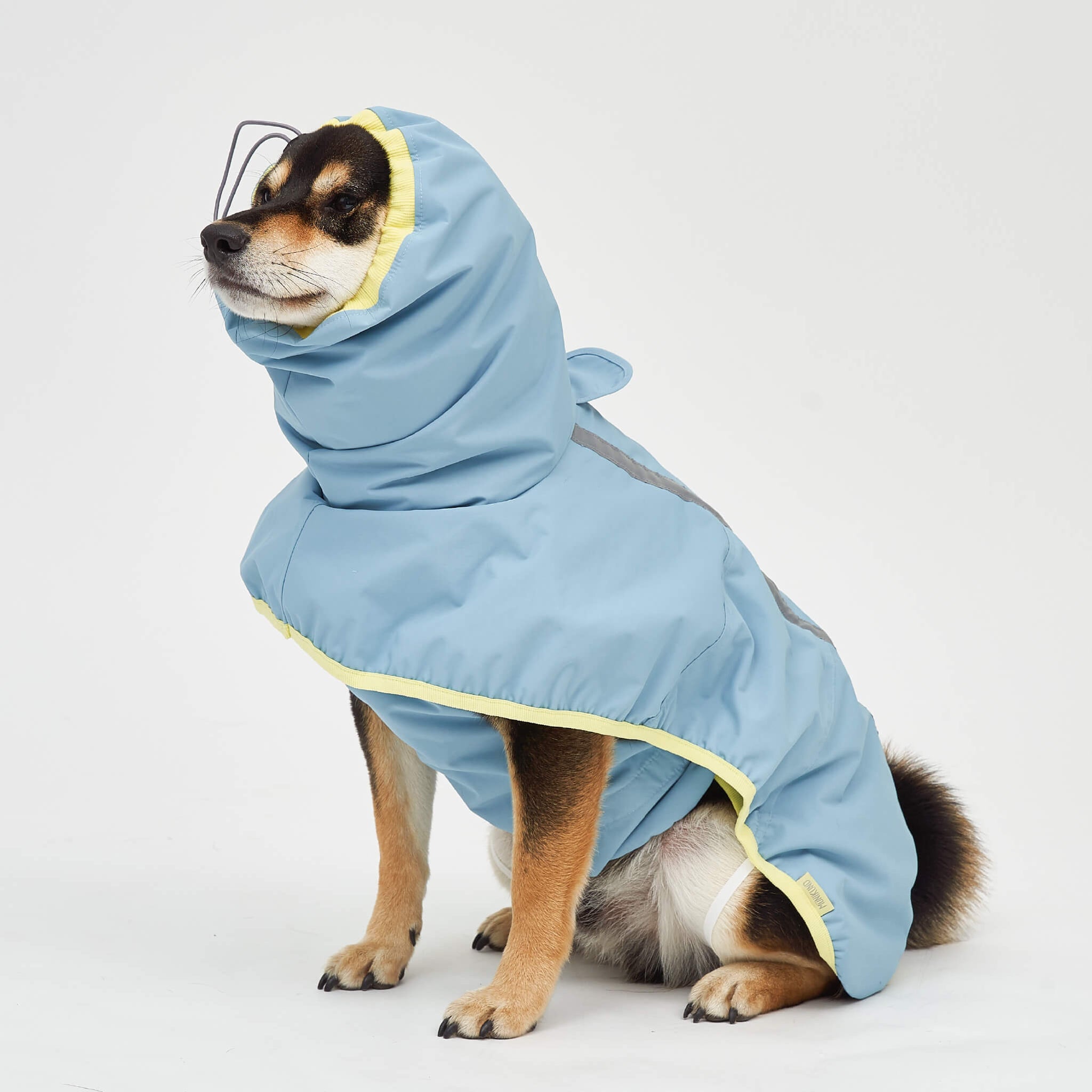 Rain coat in blue lemon. Model is wearing a 3L.