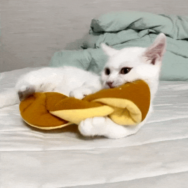 Cats love this toy, just place catnip or your cat's favorite snack in-between!